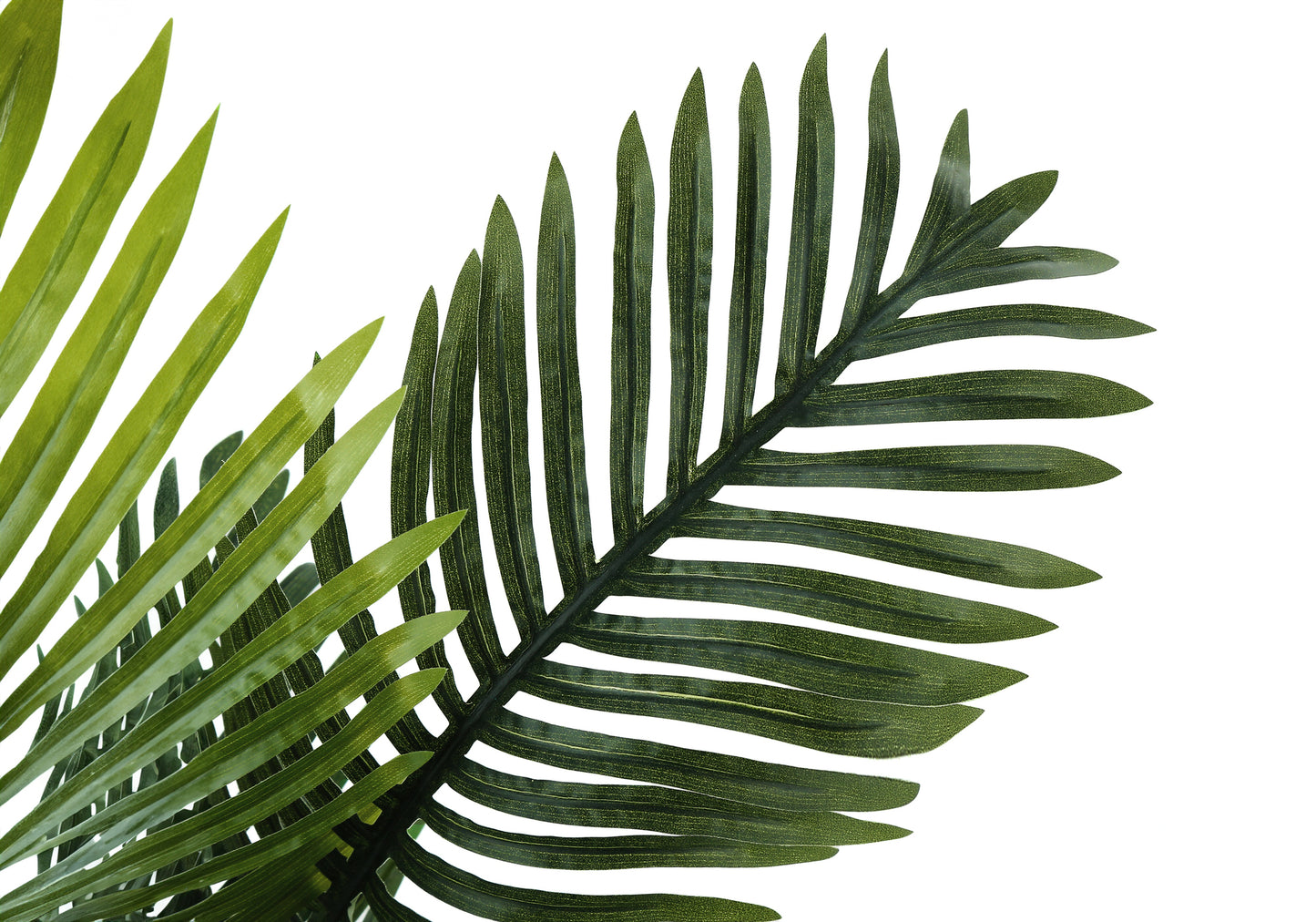 Large dark green palm leaf with prominent veins ideal for tropical decor