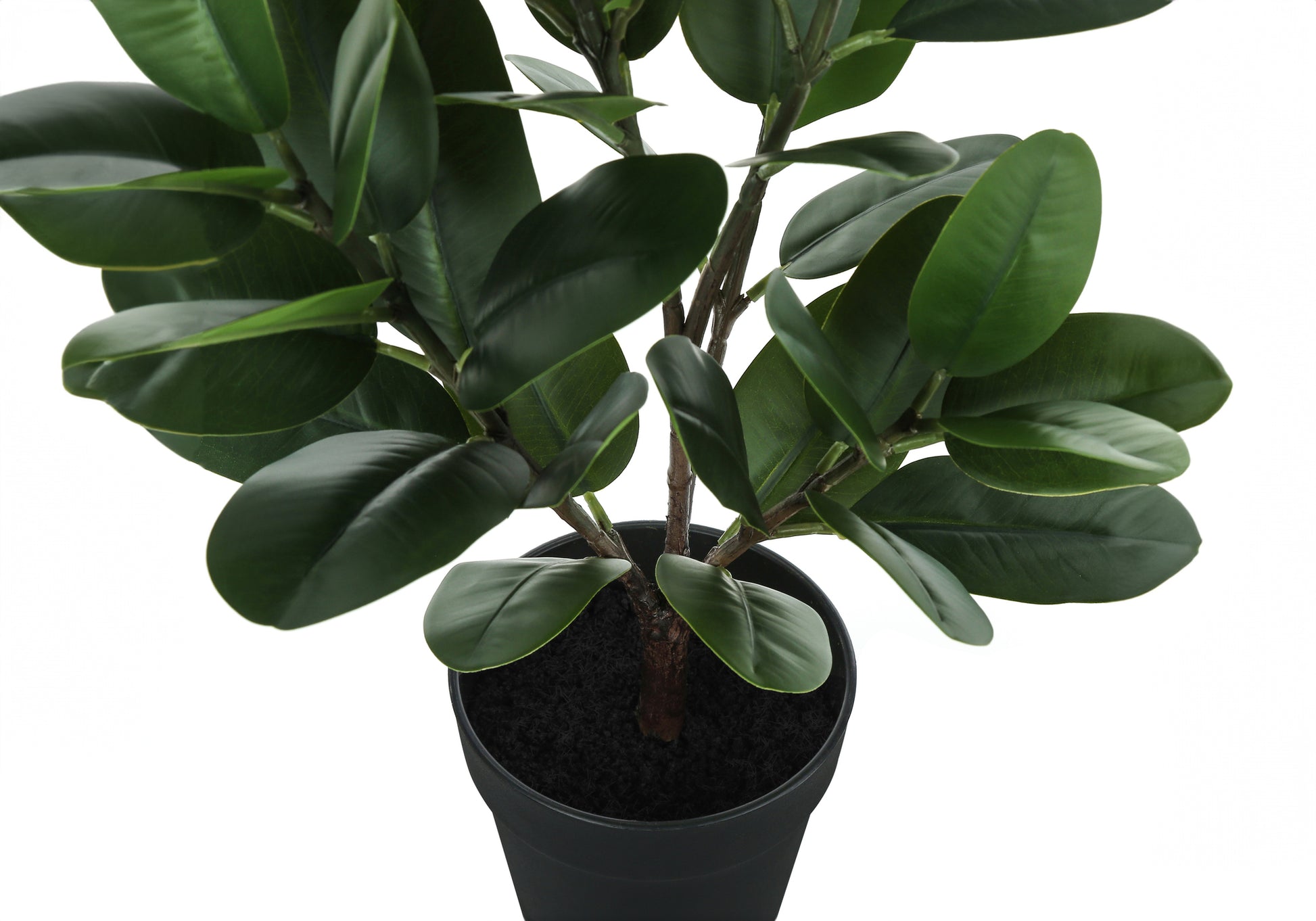 Closeup of a lush green artificial Ficus plant in a black pot