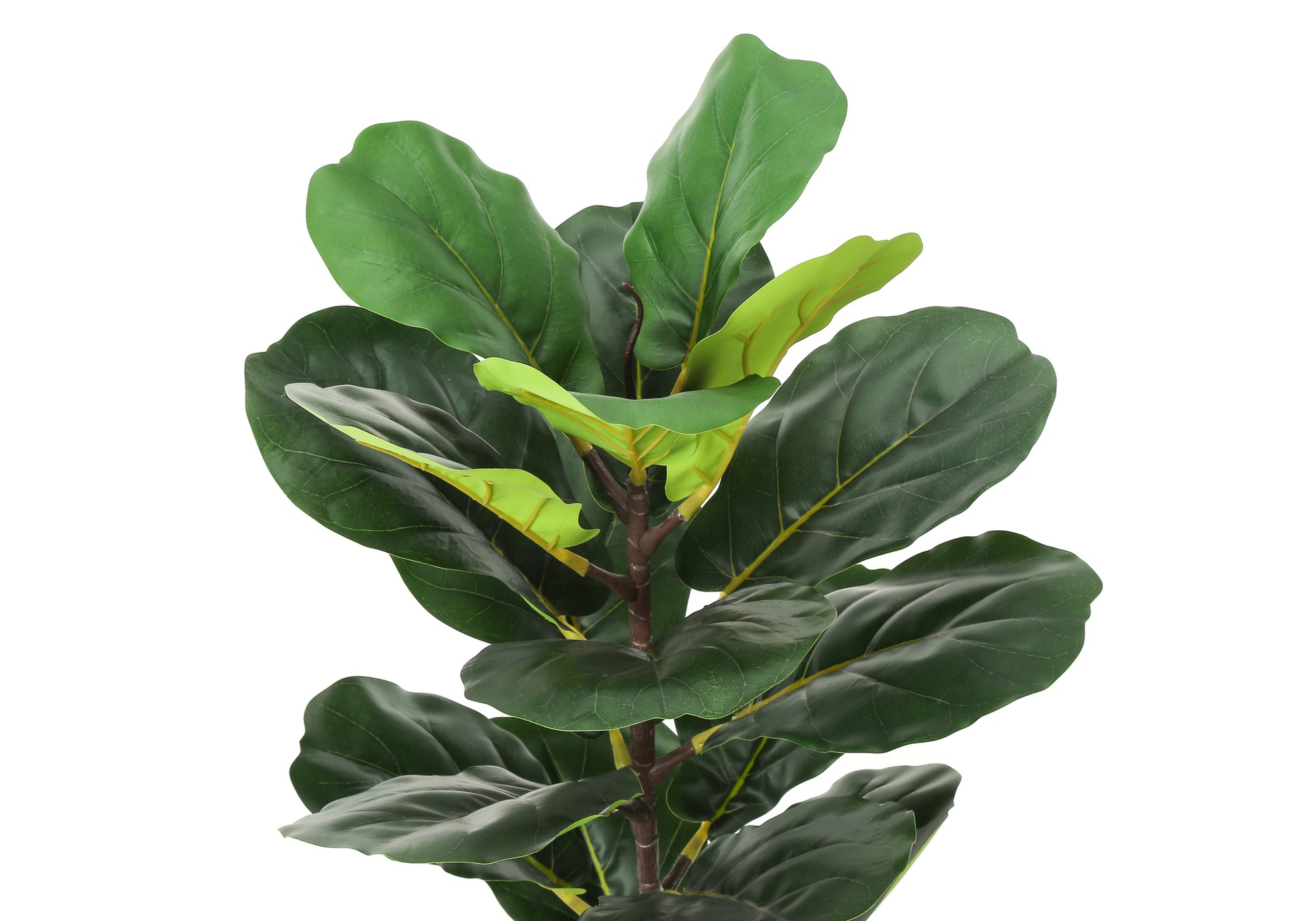 Tall faux fiddle leaf fig plant with large dark green wavy leaves and visible veins