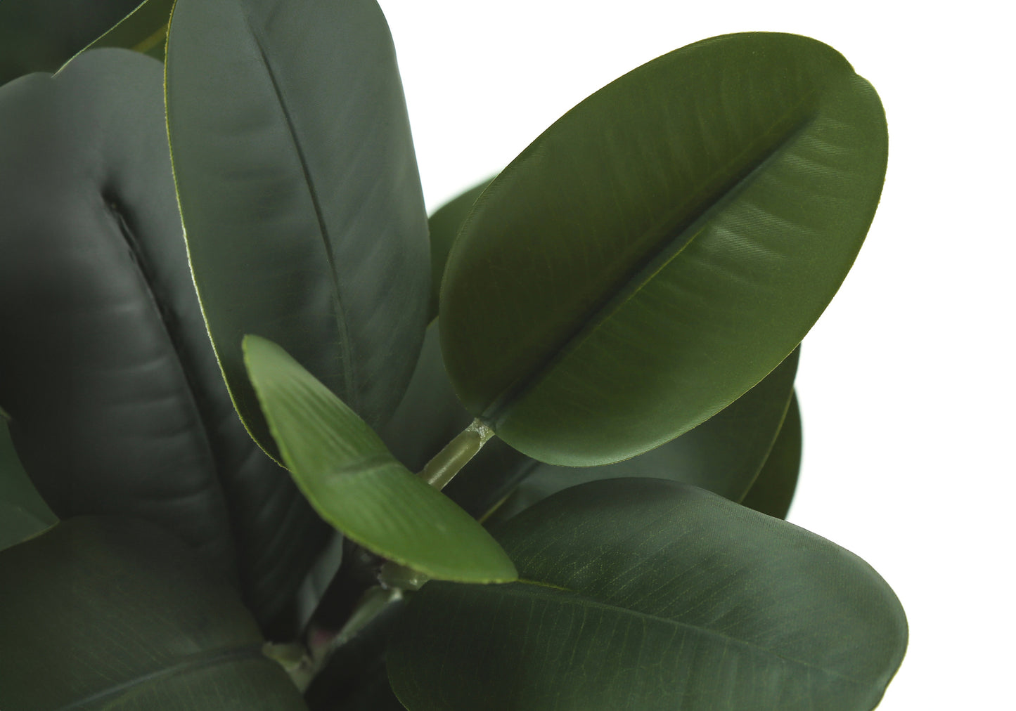 Dark green faux ficus leaves with a smooth waxy texture perfect for home decor