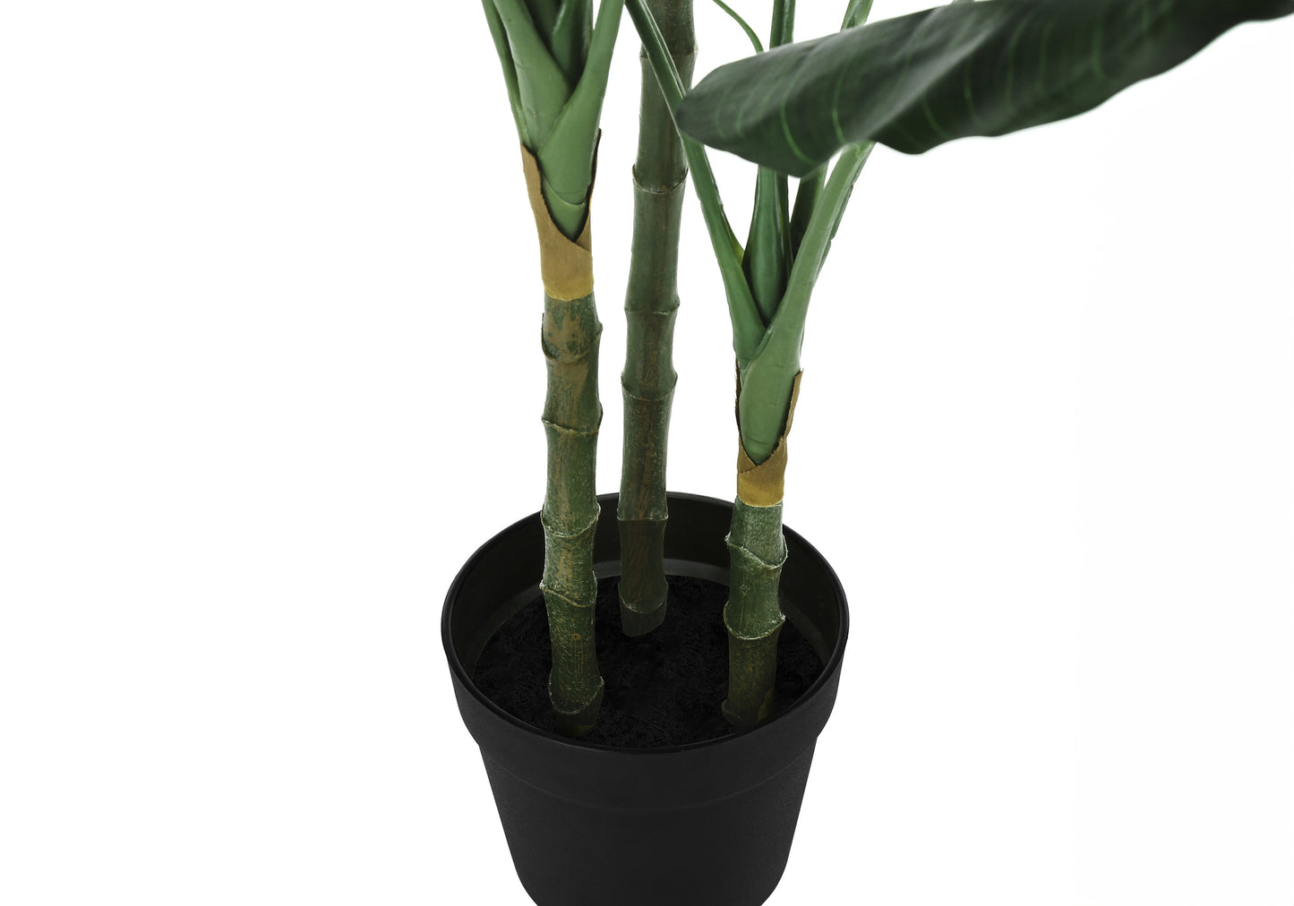 Closeup of a faux ficus plants green stalks and leaves in a black pot