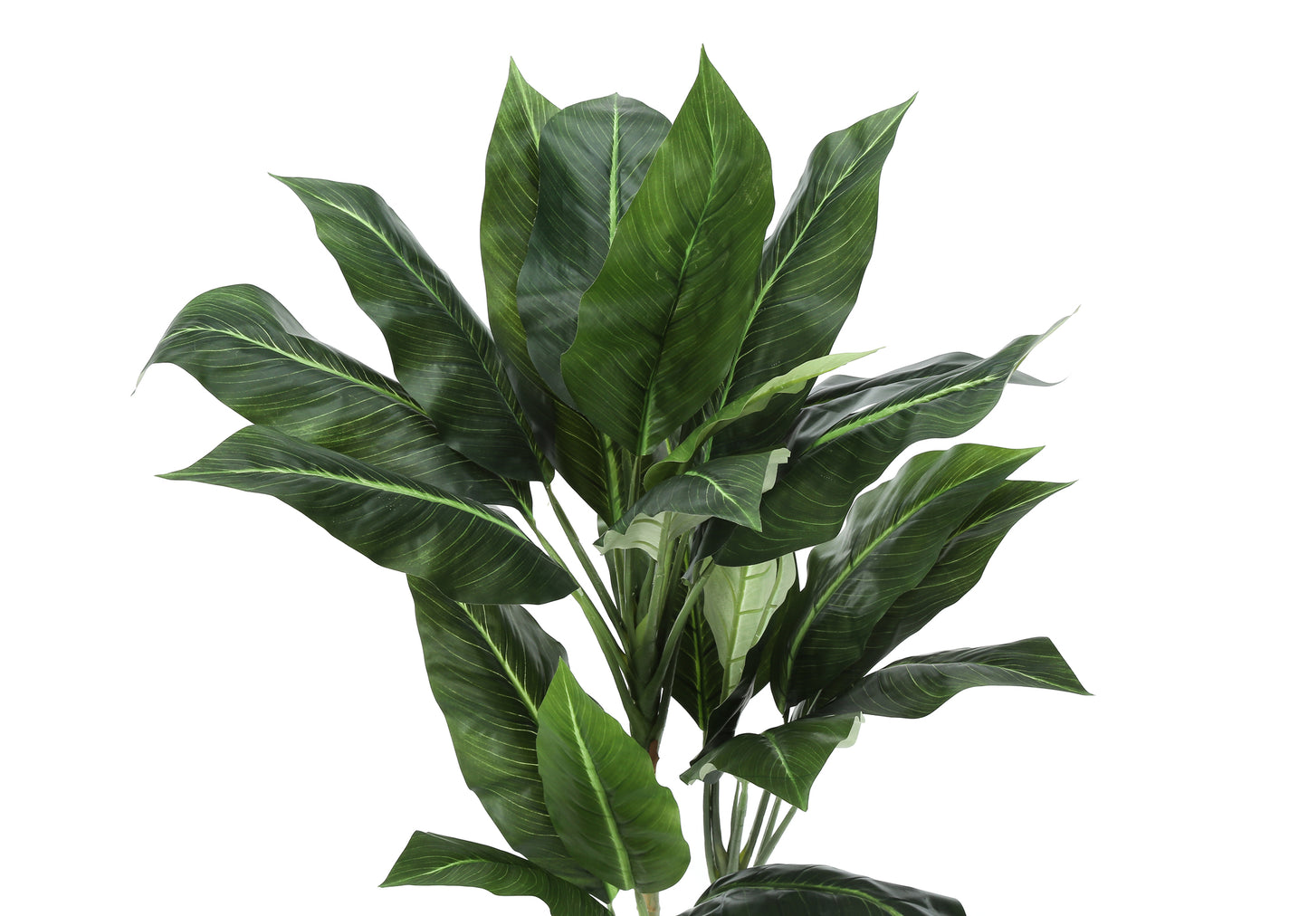 Closeup of lush green artificial Bird of Paradise plant leaves with visible veins