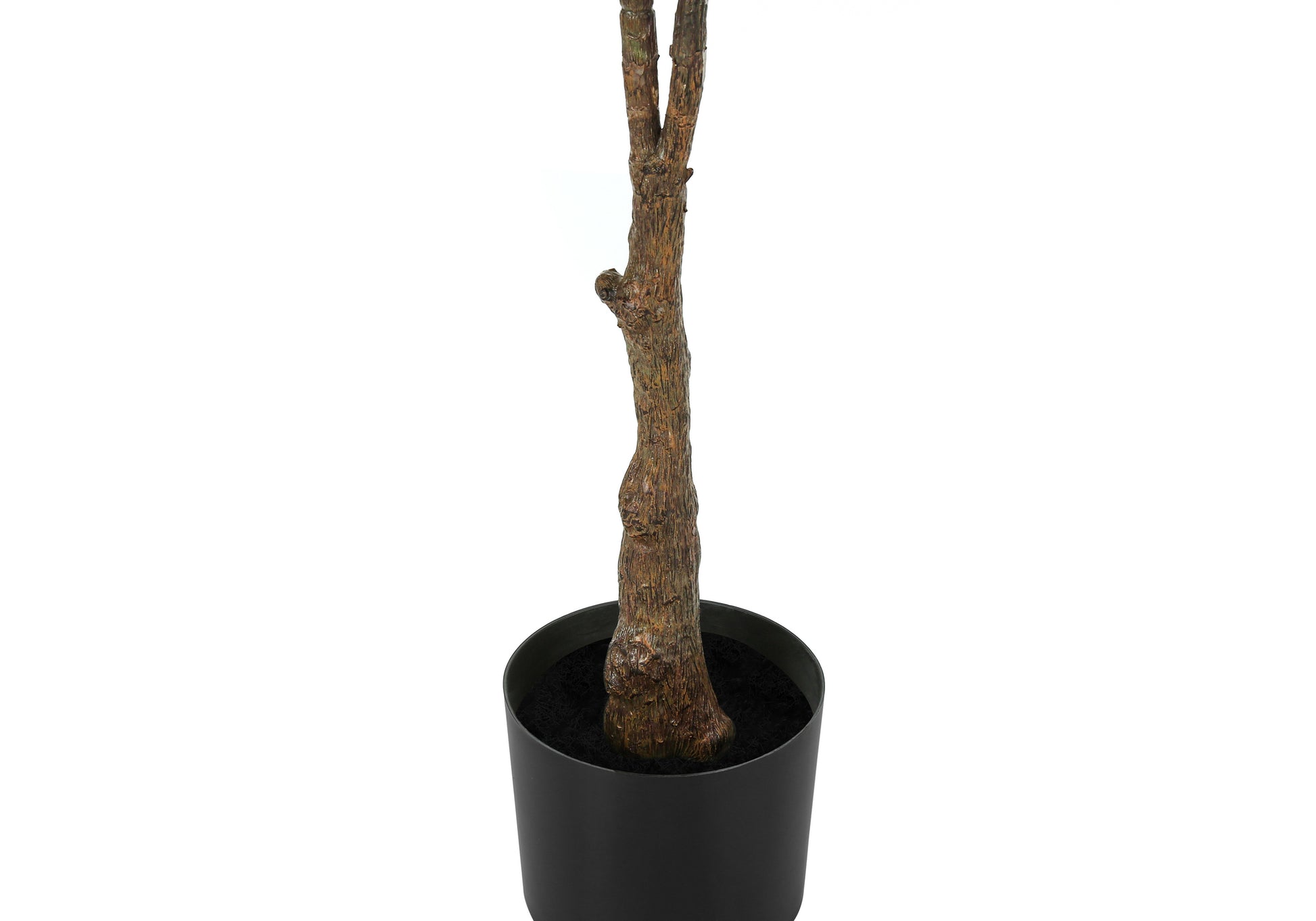 Closeup of a realistic faux ficus tree trunk in a black planter