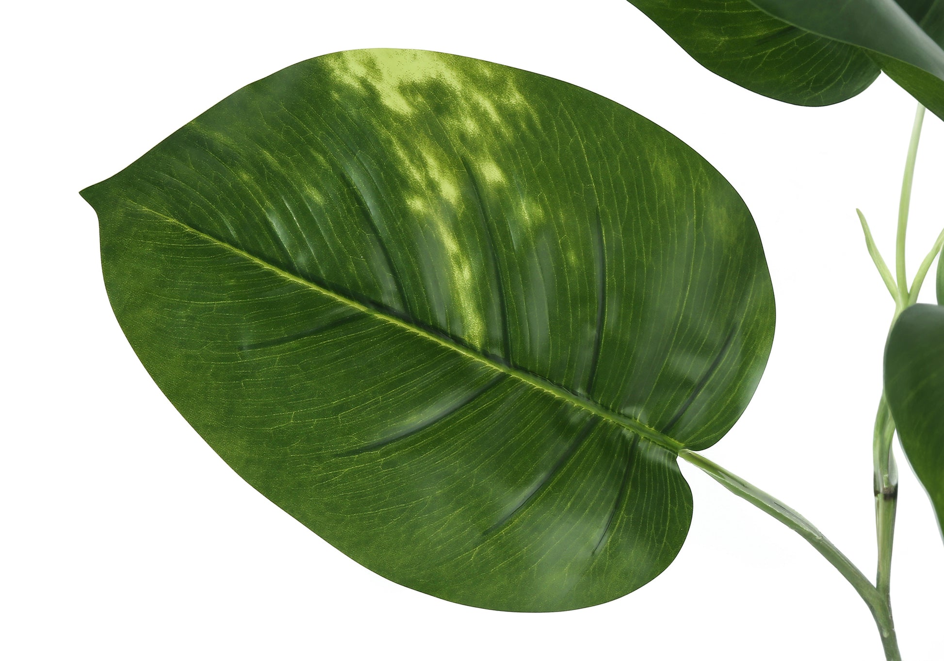 Large green tropical leaf with variegated yellow markings faux plant detail