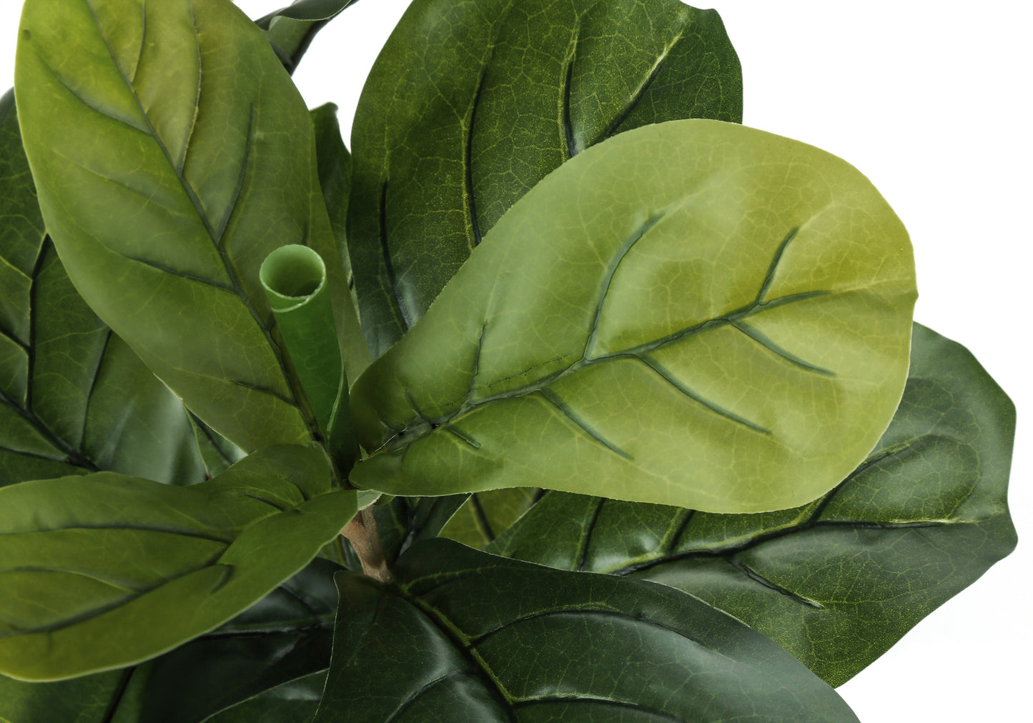 Closeup of realistic faux fiddle leaf fig plant leaves with vibrant green hues