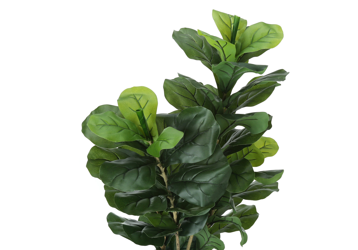 Realistic artificial fiddle leaf fig plant with large glossy green leaves