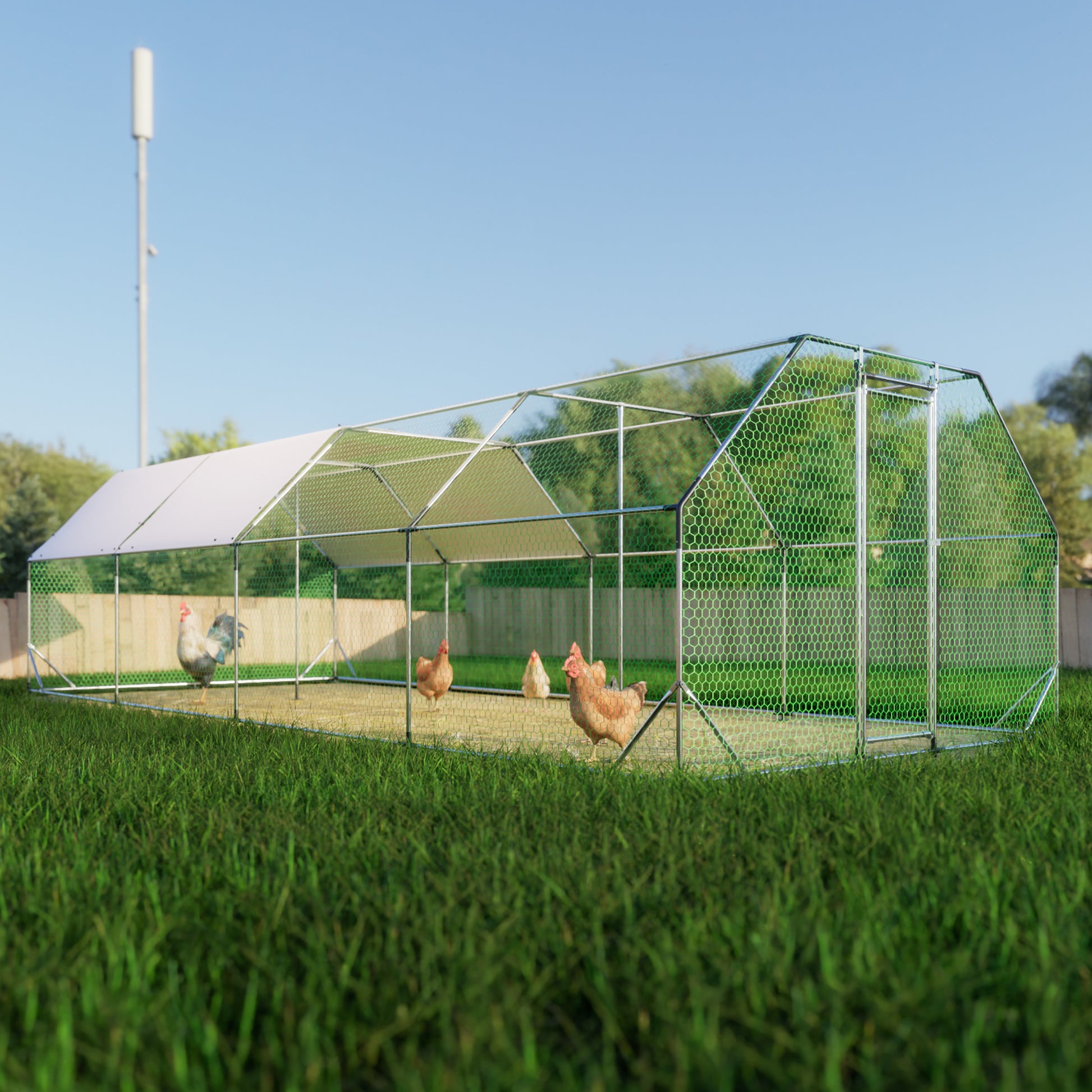 Spacious outdoor chicken coop with wire mesh and white canopy roof