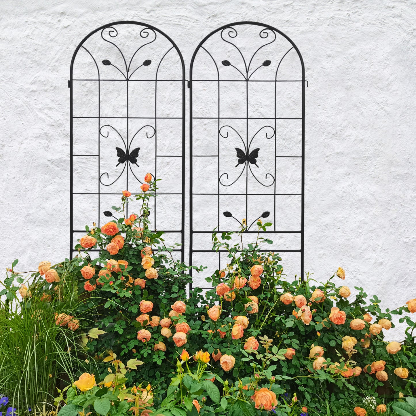 Black metal garden trellis with butterfly details and climbing peach roses