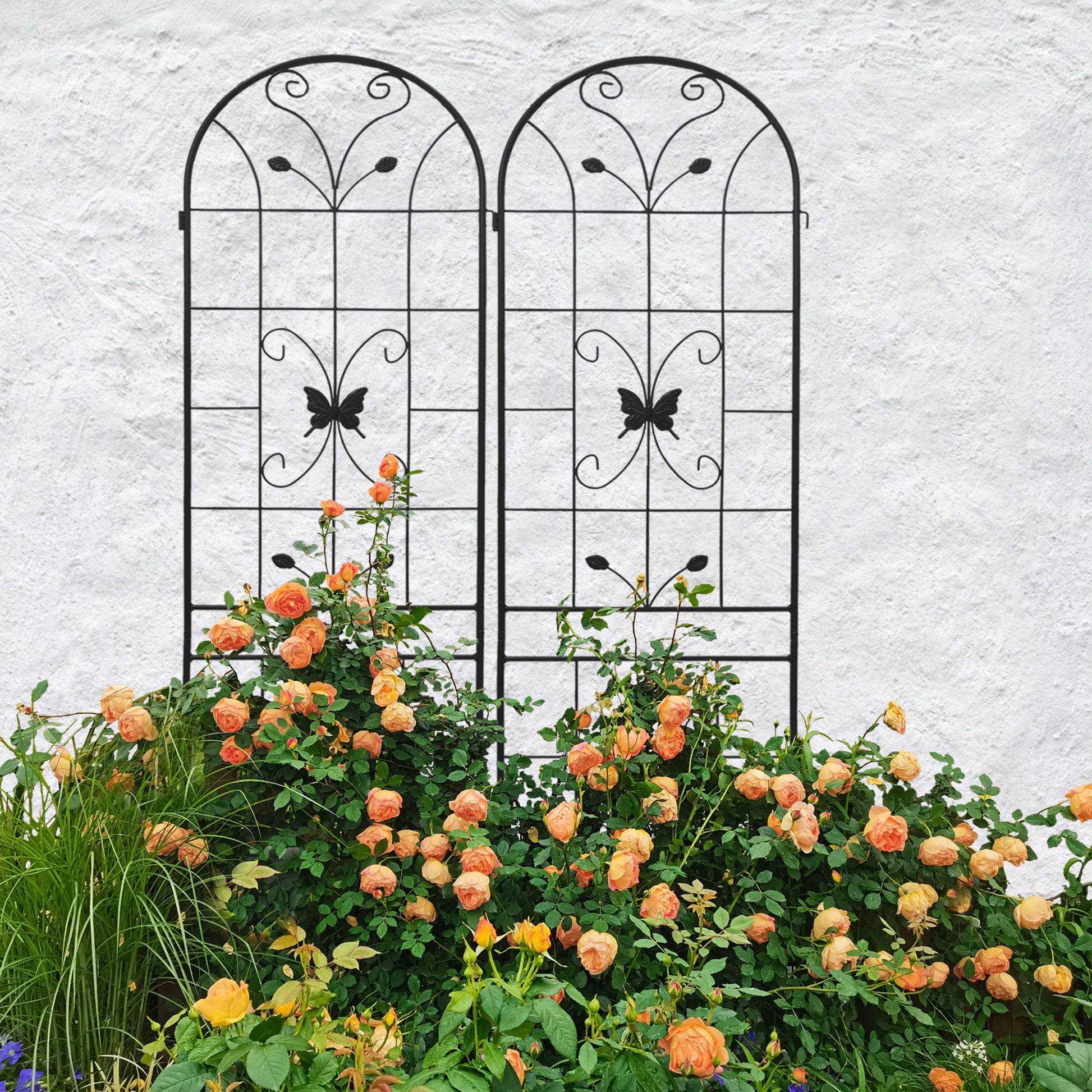 Black metal garden trellis with butterfly details and climbing peach roses