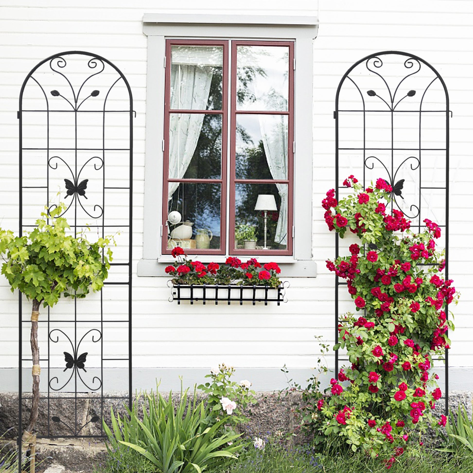Black metal garden trellis with butterfly design ideal for climbing plants