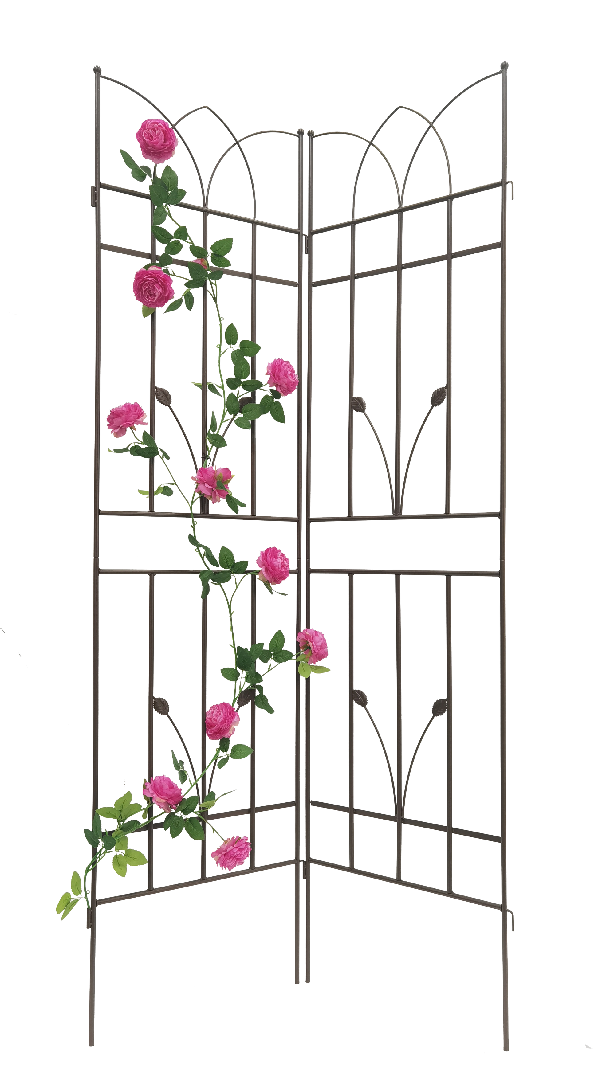 Dark brown metal garden trellis with pink roses and green leaves