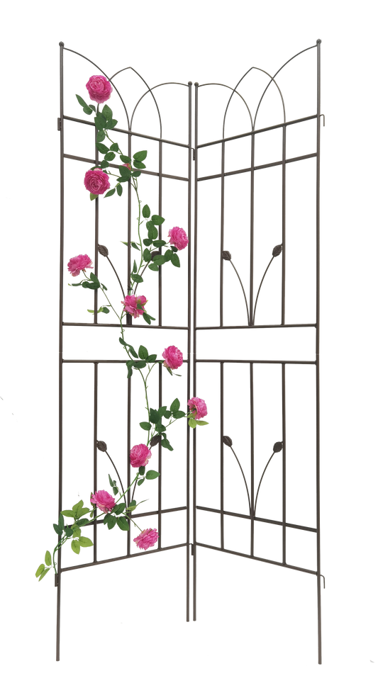 Dark brown metal garden trellis with pink roses and green leaves