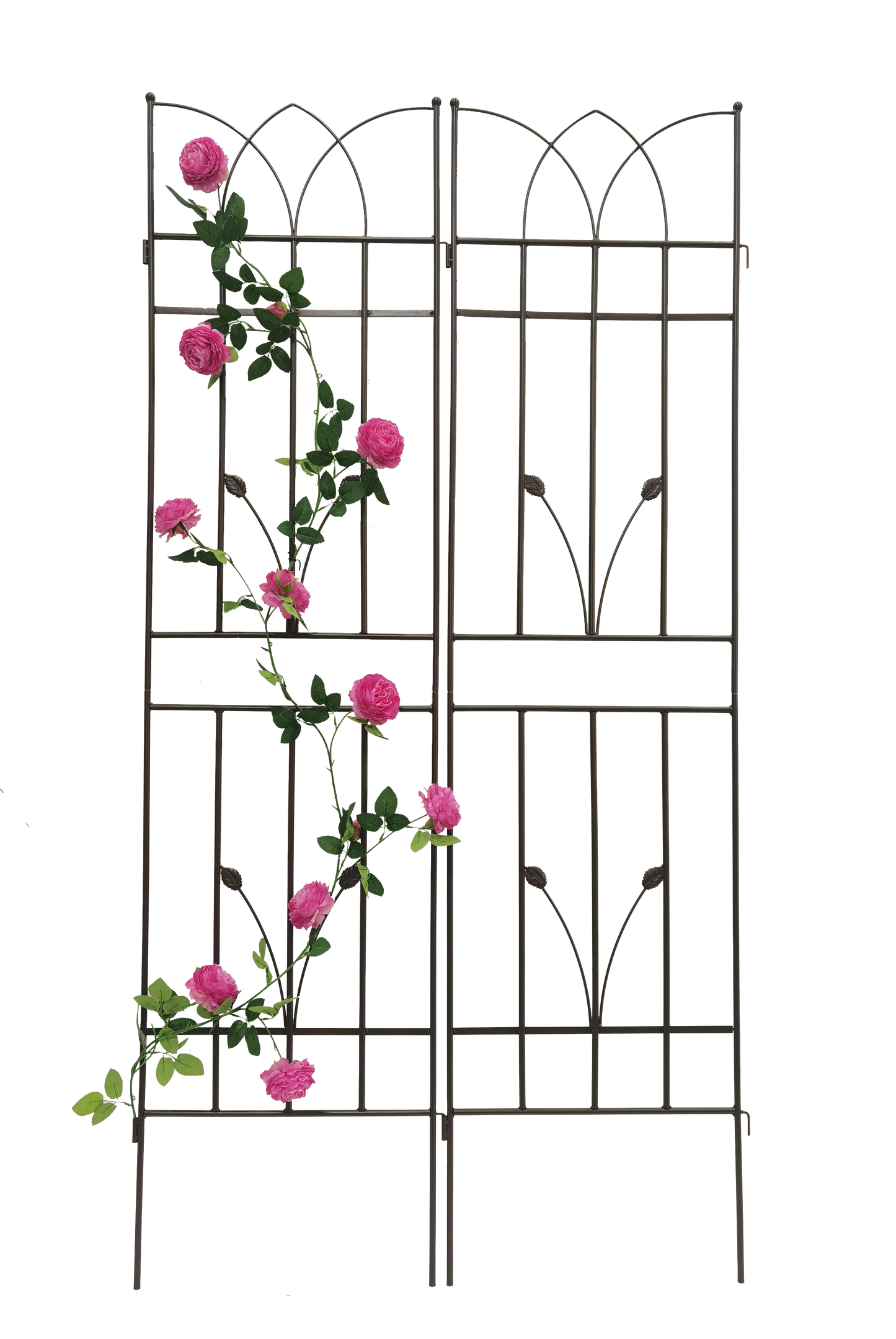 Black metal garden trellis with climbing pink roses and green leaves