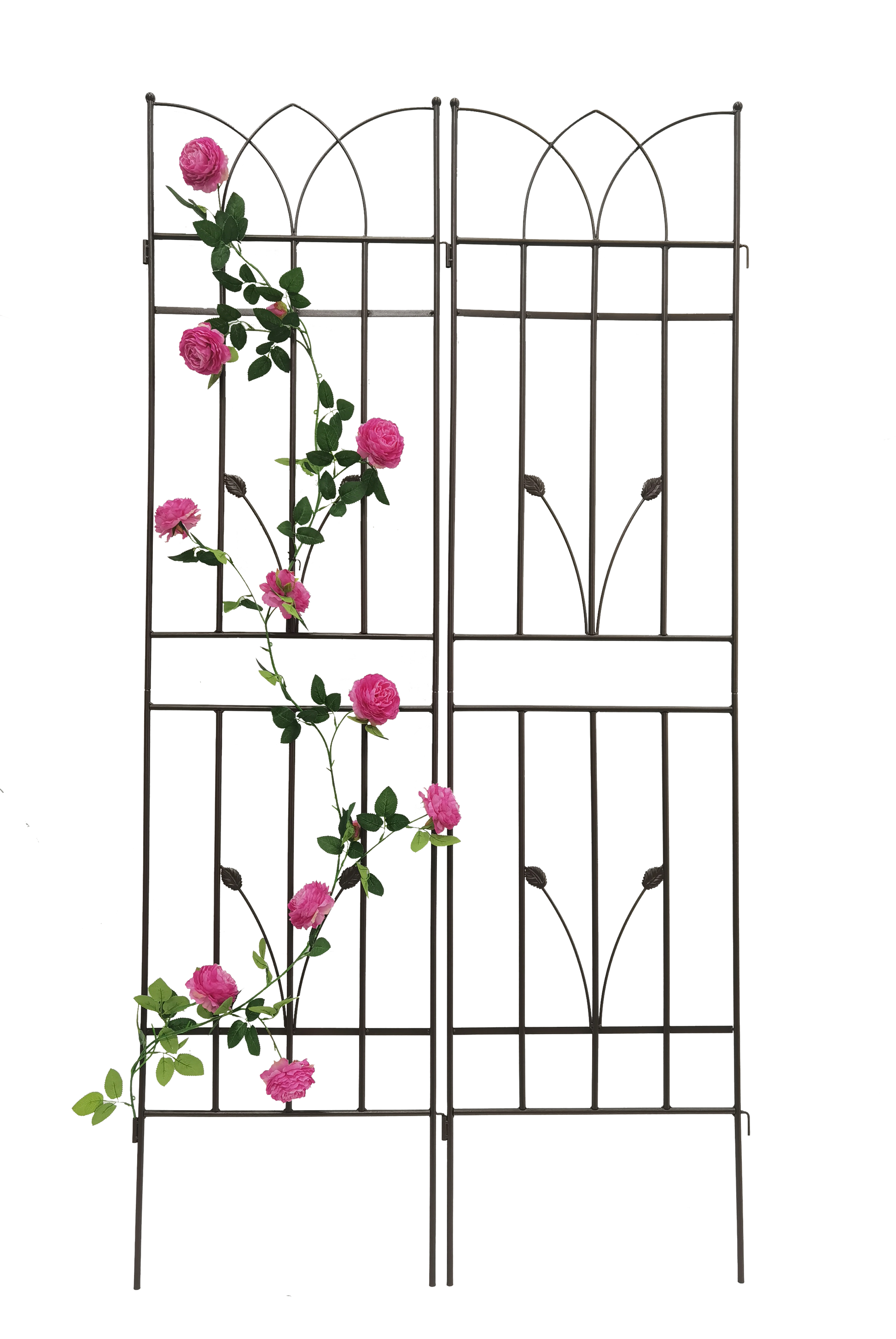 Black metal garden trellis with climbing pink roses and green leaves
