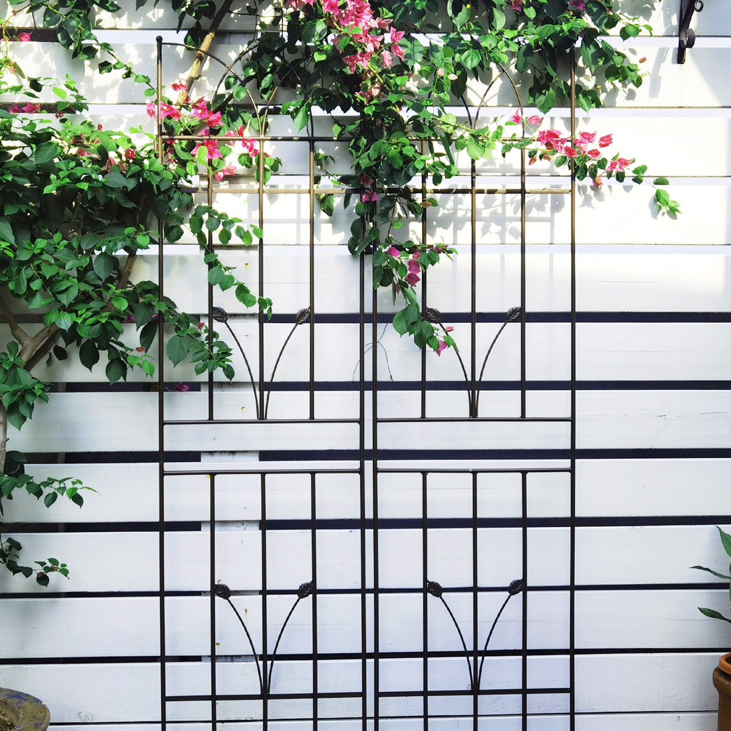 Black metal garden trellis with climbing pink bougainvillea and green leaves