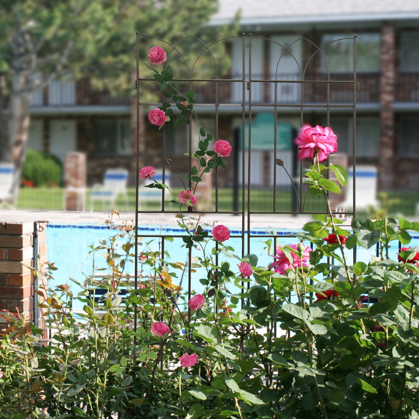 Dark metal garden trellis with climbing pink roses and architectural arch details