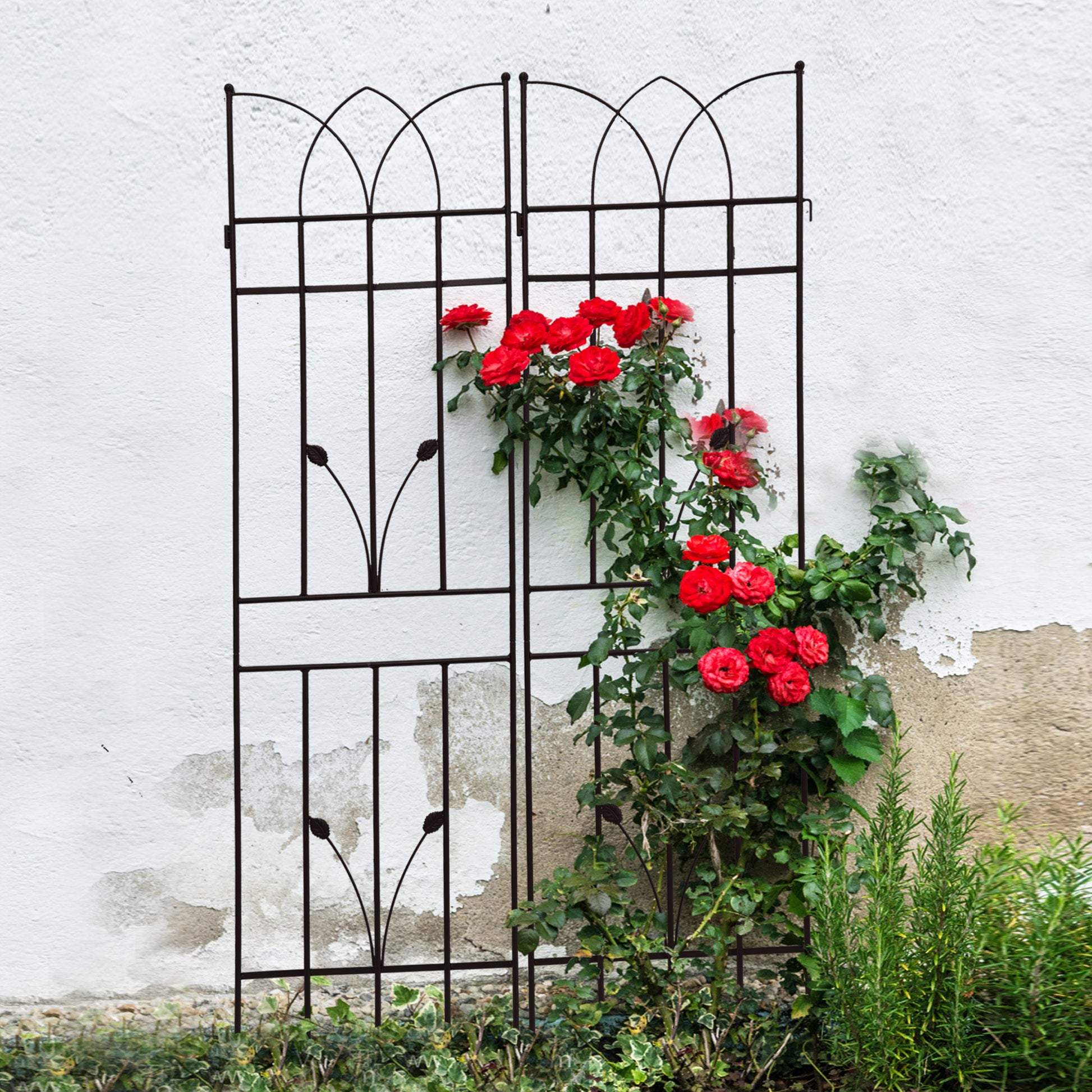 Black metal garden trellis with decorative scrollwork supporting climbing red roses