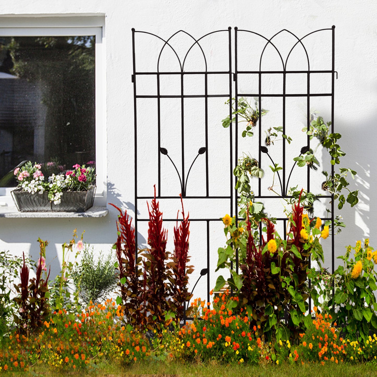 Black metal garden trellis with decorative scrollwork supporting climbing plants