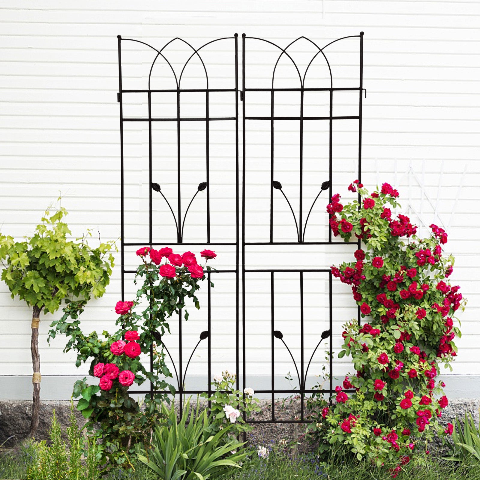 Black metal garden trellis with ornate arched top for climbing plants
