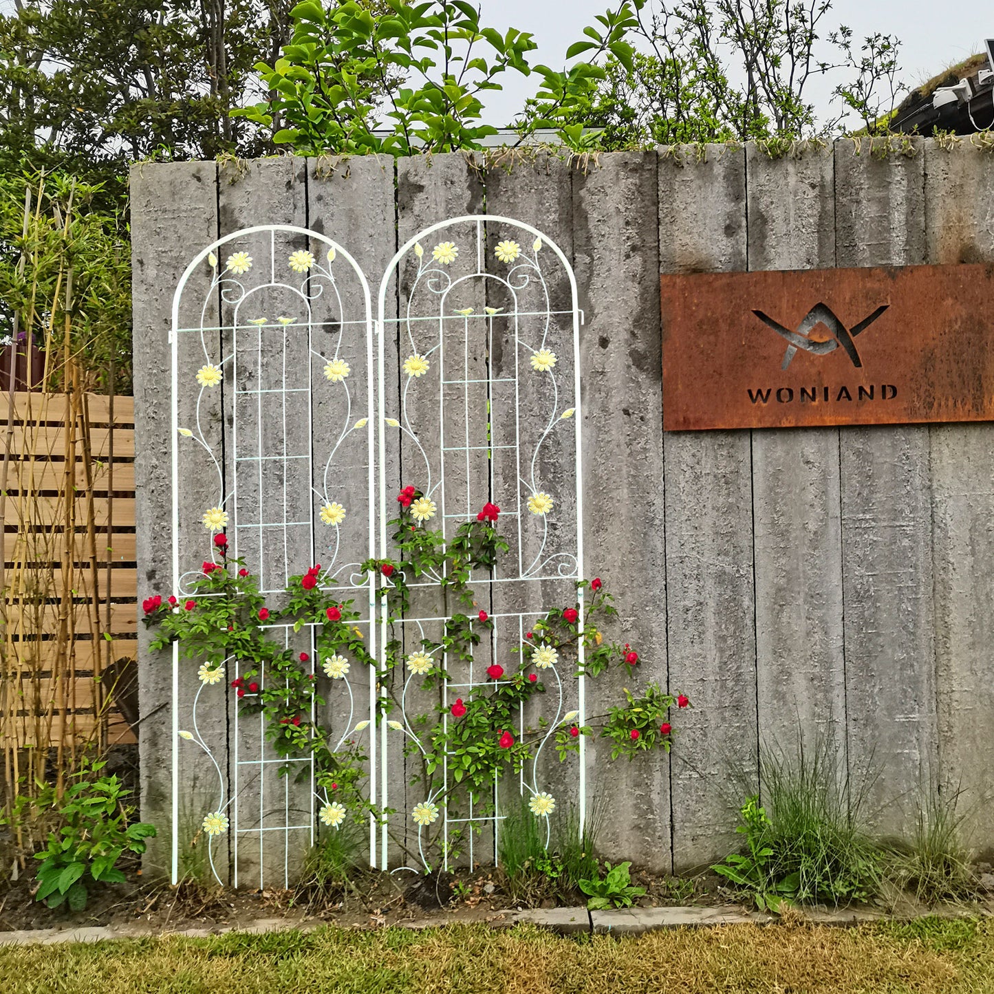 White metal garden trellis with red roses and yellow daisy accents ideal for climbing plants