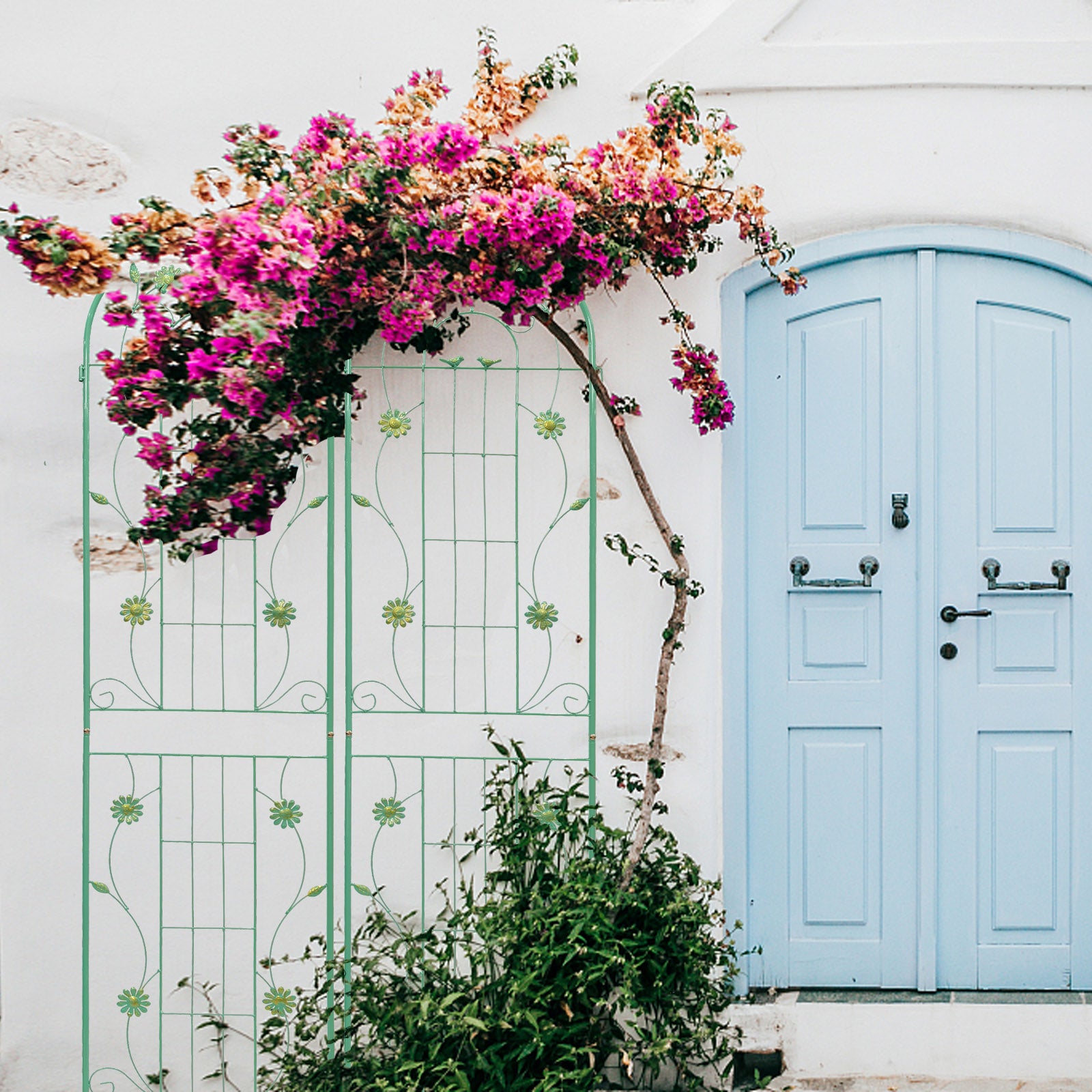 Green metal trellis with flower accents featuring vibrant pink bougainvillea climbing against a white wall and a light blue door
