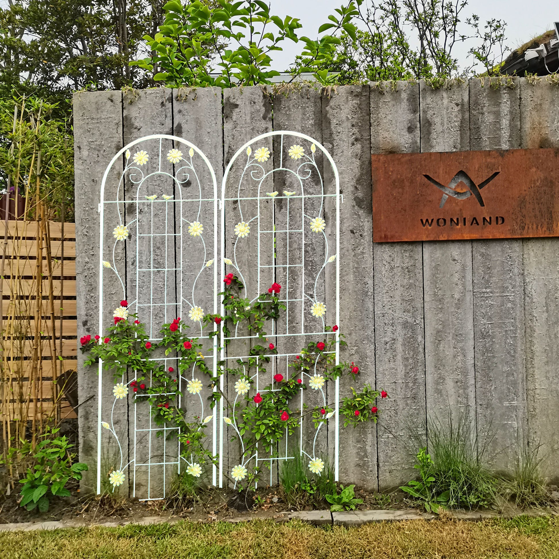 White metal garden trellis with red roses and yellow daisy accents for climbing plants