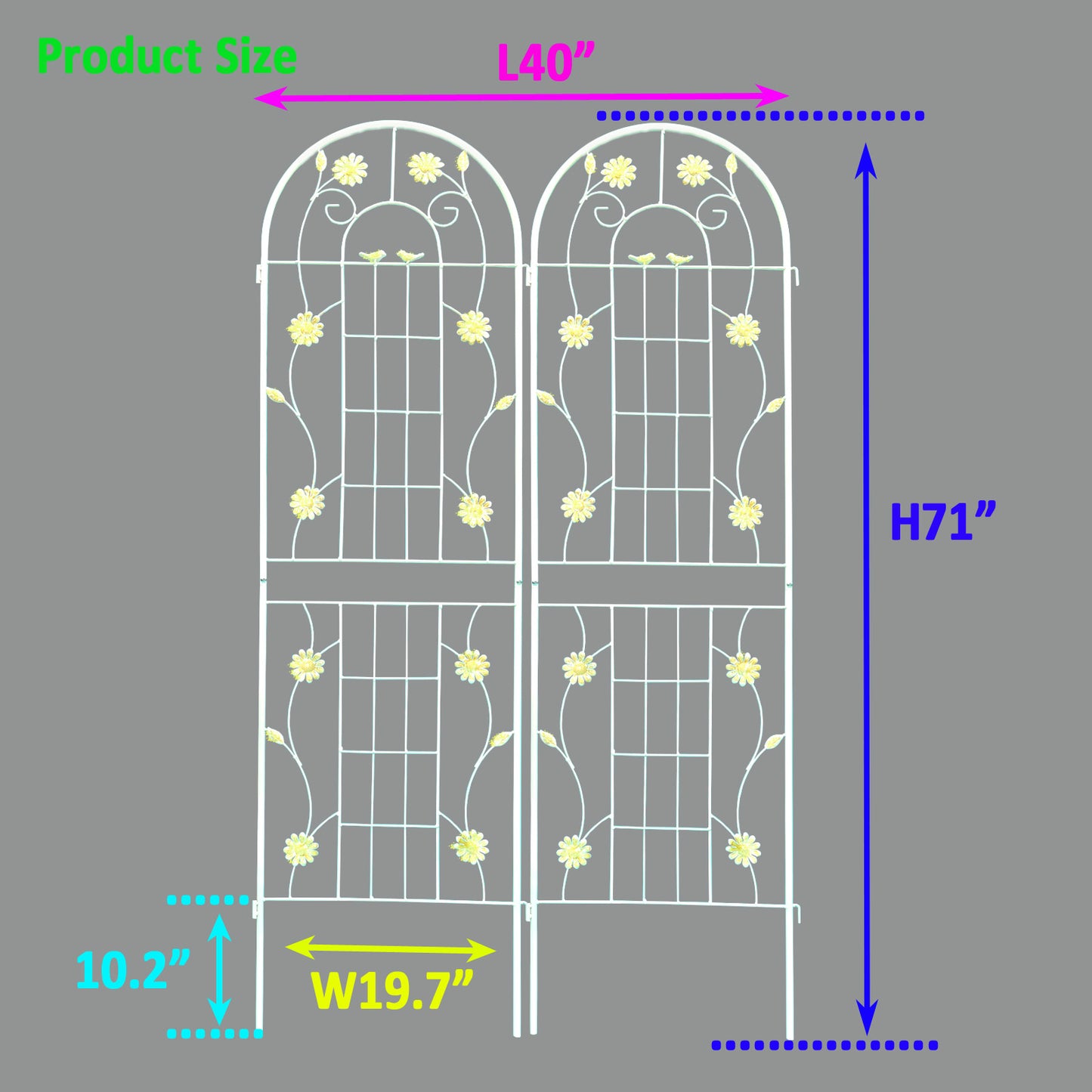 White wrought iron garden trellis with floral accents and  height