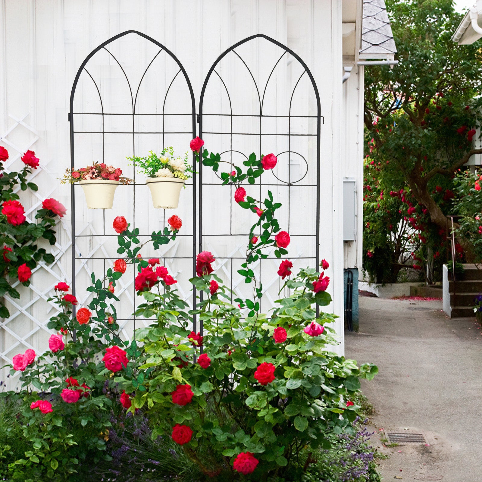 Black metal garden trellis with climbing red roses and hanging planters