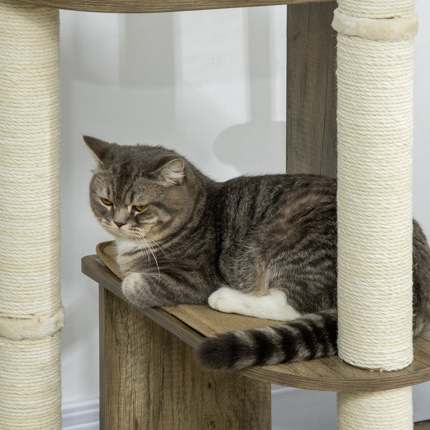 Gray tabby cat resting on a sisalwrapped cat tree platform