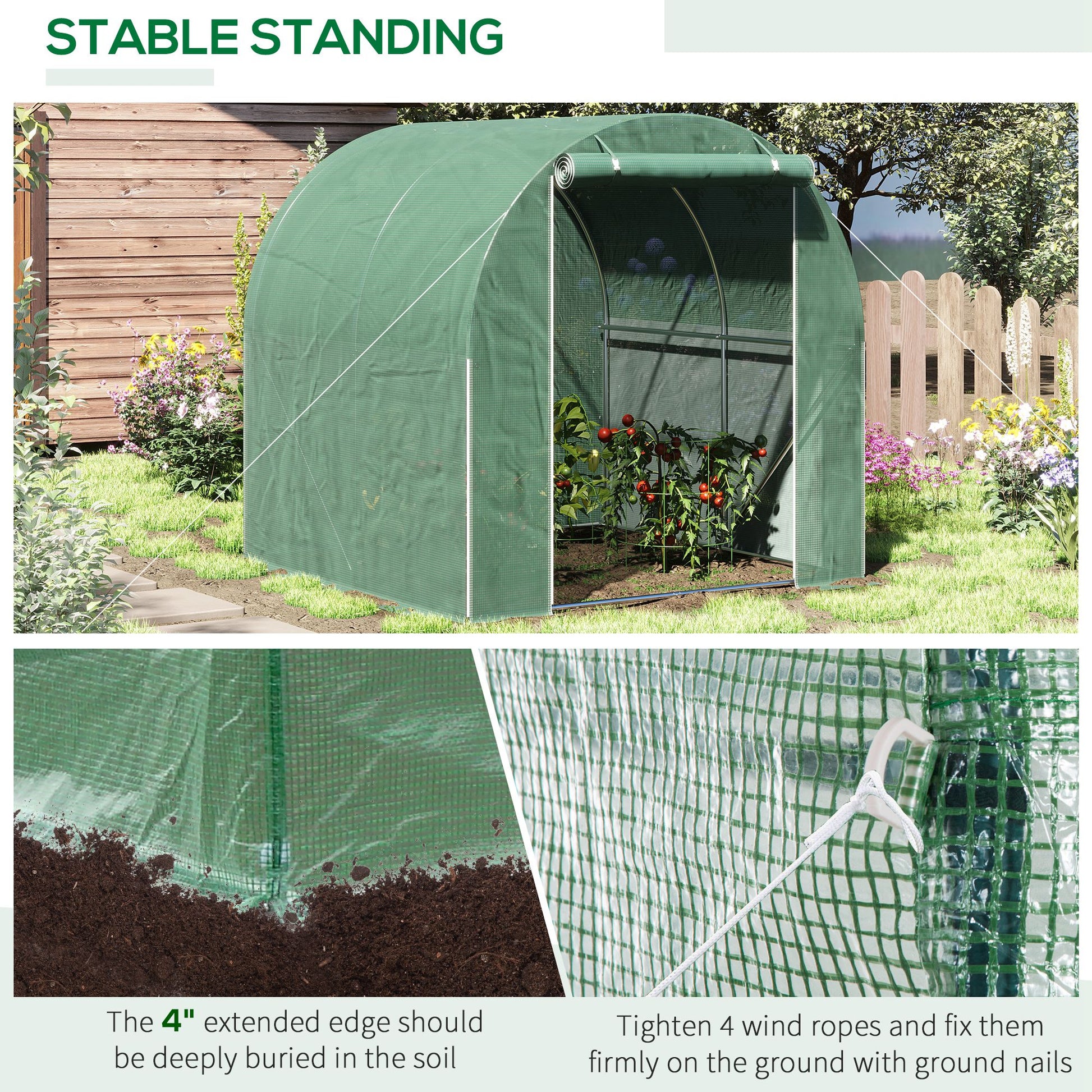 Green walkin greenhouse with a rollup door protecting tomato plants