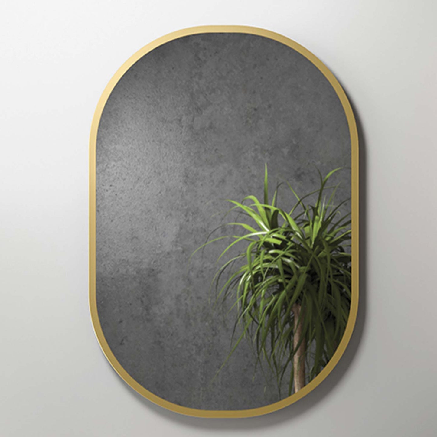 Oval metal framed mirror with a gray textured surface reflecting a lush green plant