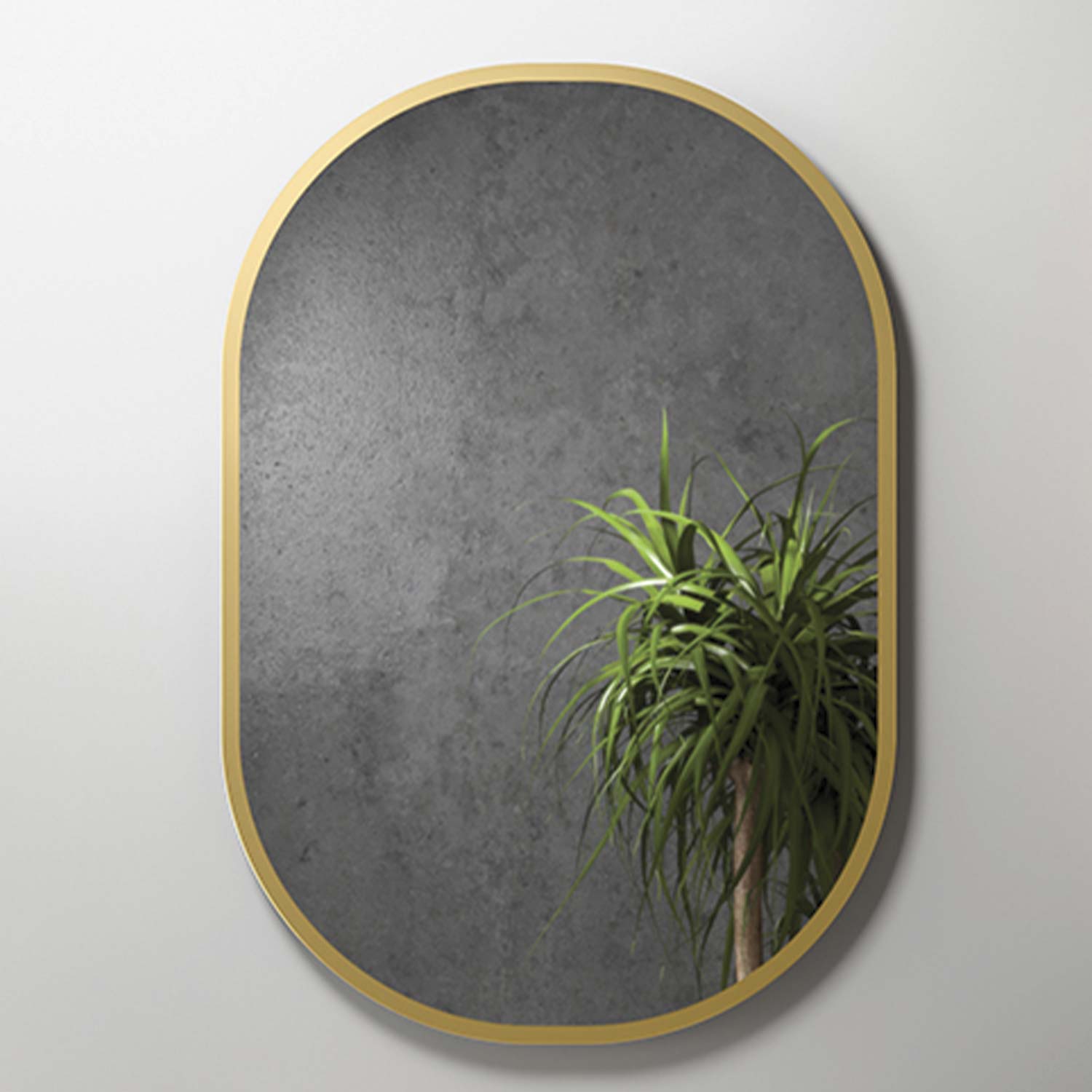 Oval metal framed mirror with a gray textured surface reflecting a lush green plant