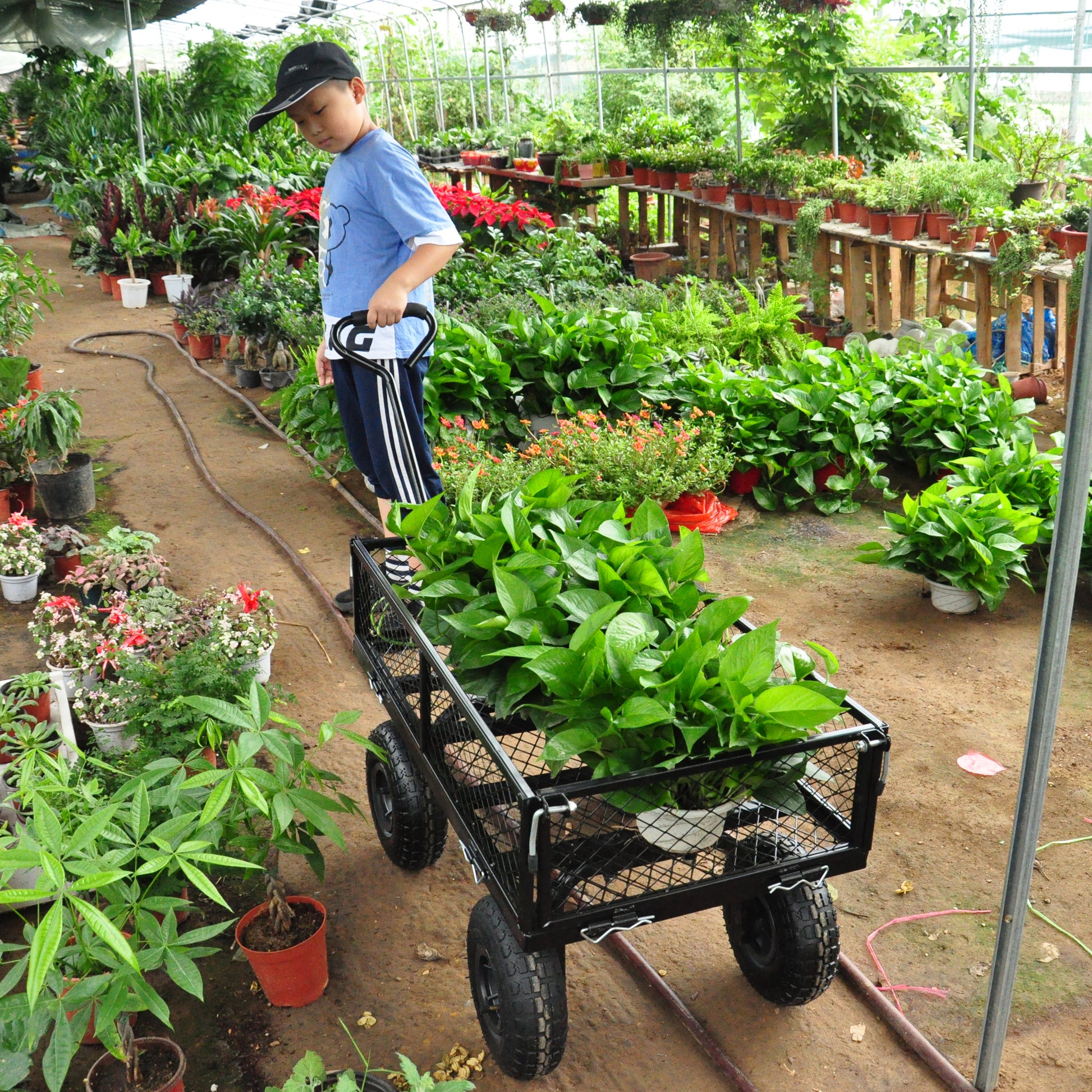 Black mesh garden cart loaded with lush green potted plants for sale