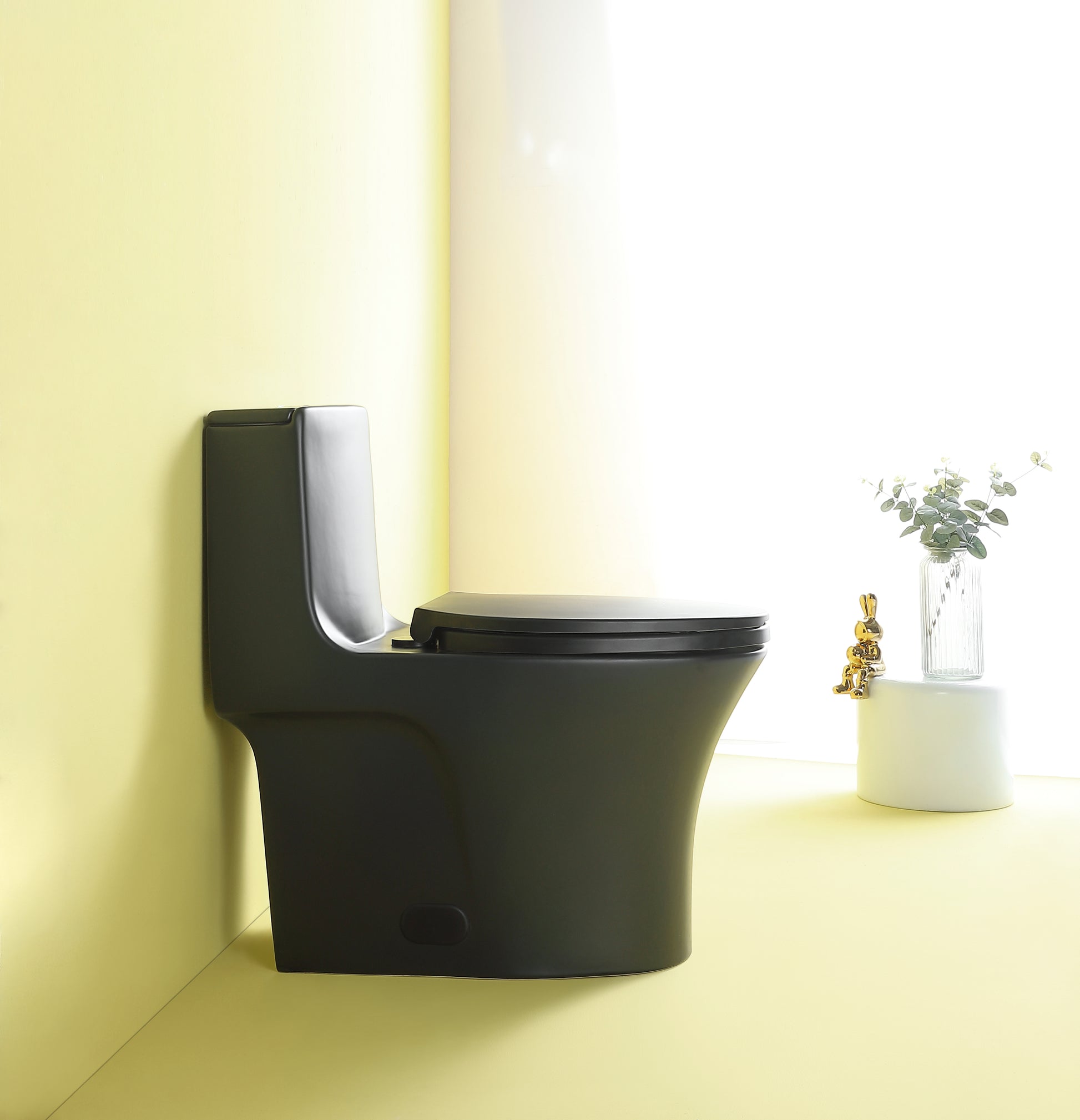 Sleek matte black onepiece toilet with a modern design ideal for contemporary bathrooms