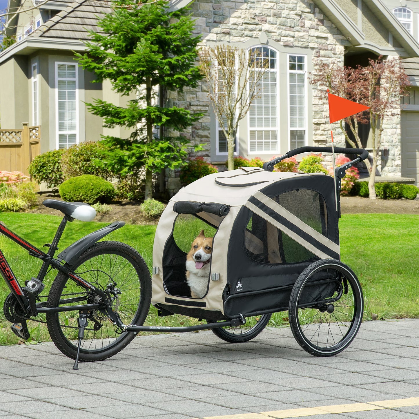 Black and tan dog trailer with a happy corgi inside attached to a bicycle
