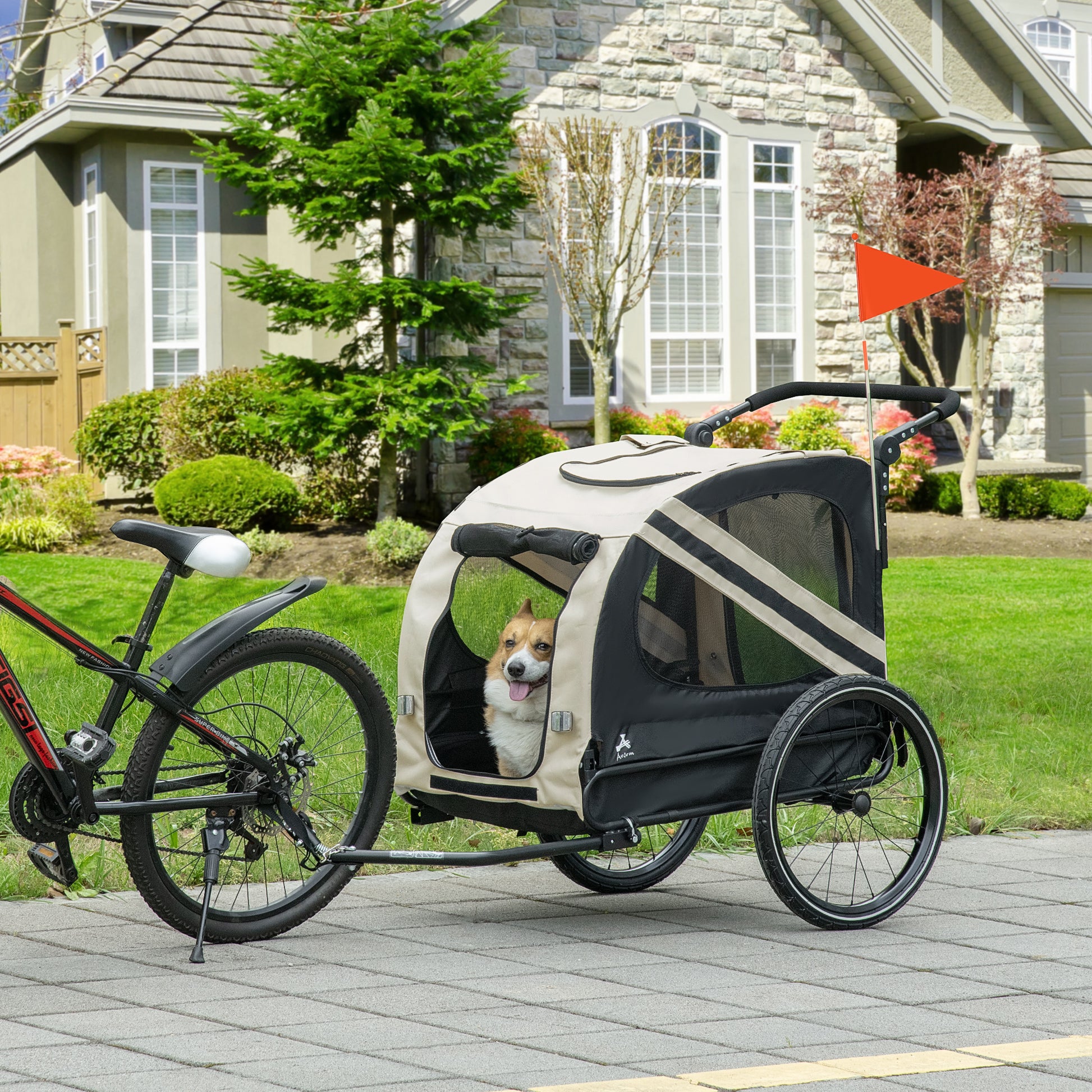 Black and tan dog trailer with a happy corgi inside attached to a bicycle