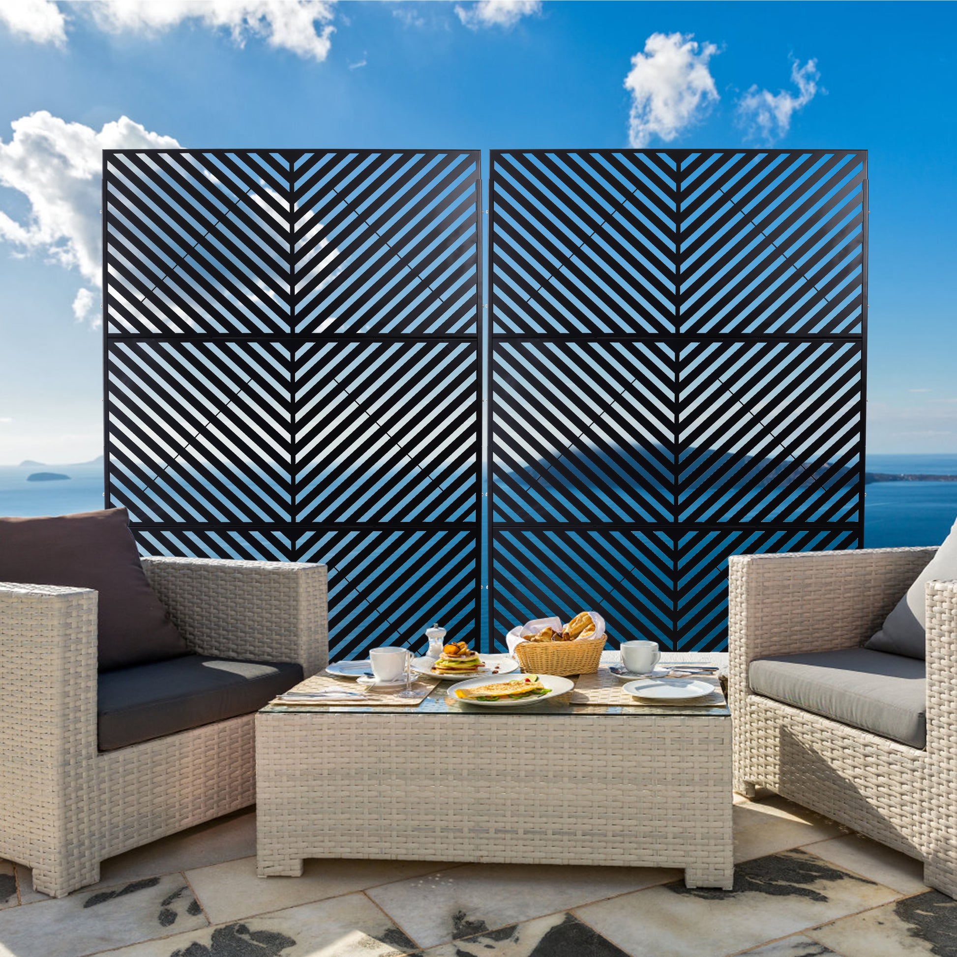 Black decorative garden screen with diagonal slats and modern chevron design