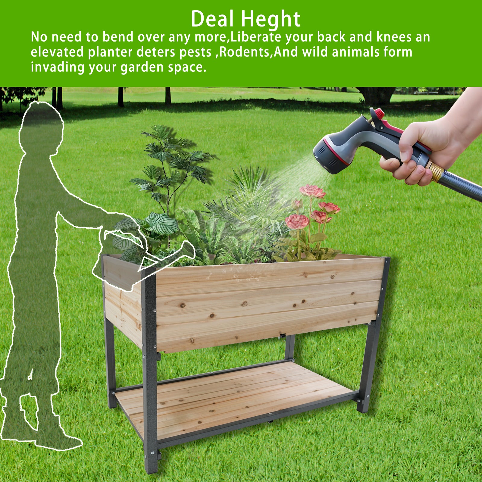 Wooden raised garden bed with dual shelves ideal for patio gardening