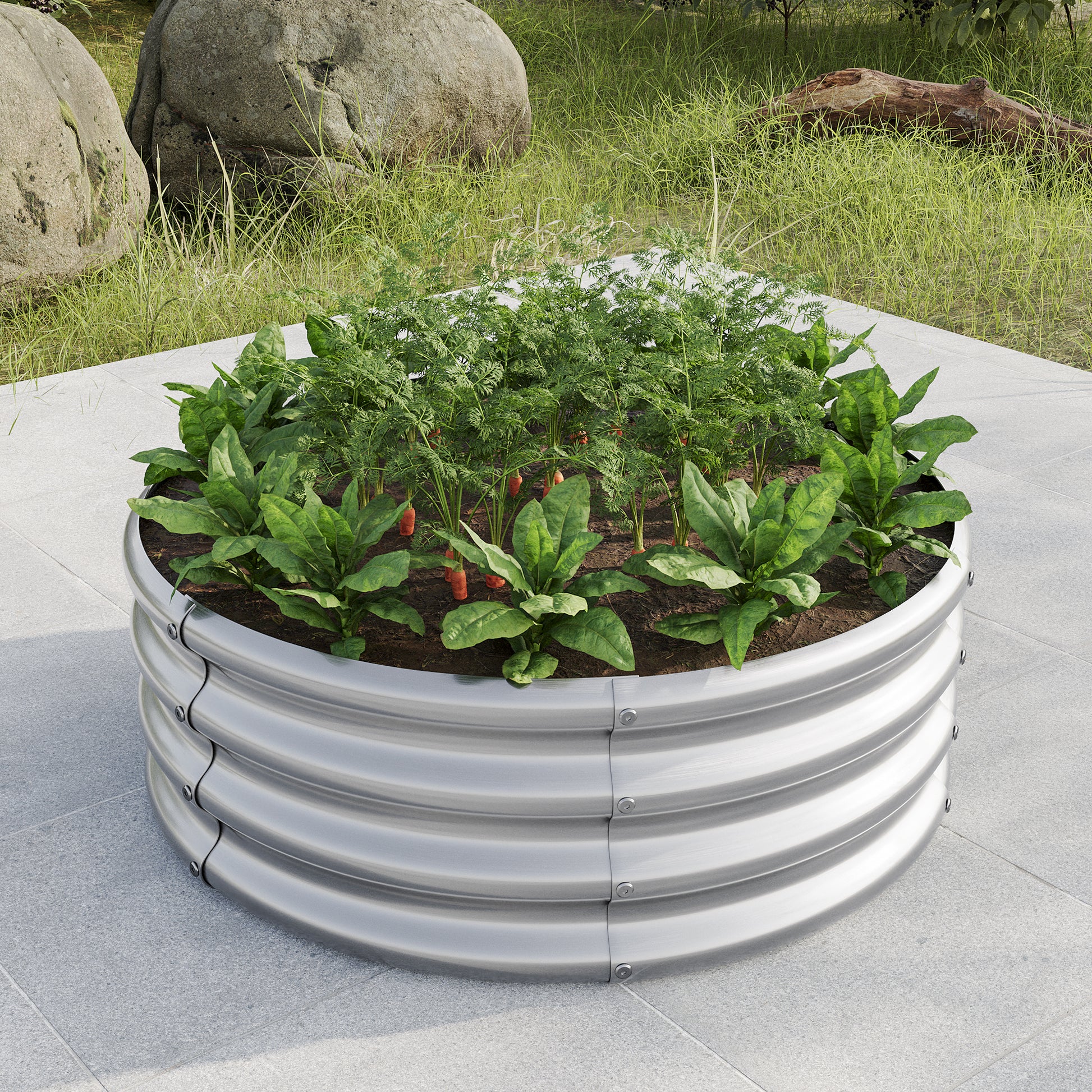 Round metal raised garden bed with young carrots and spinach growing