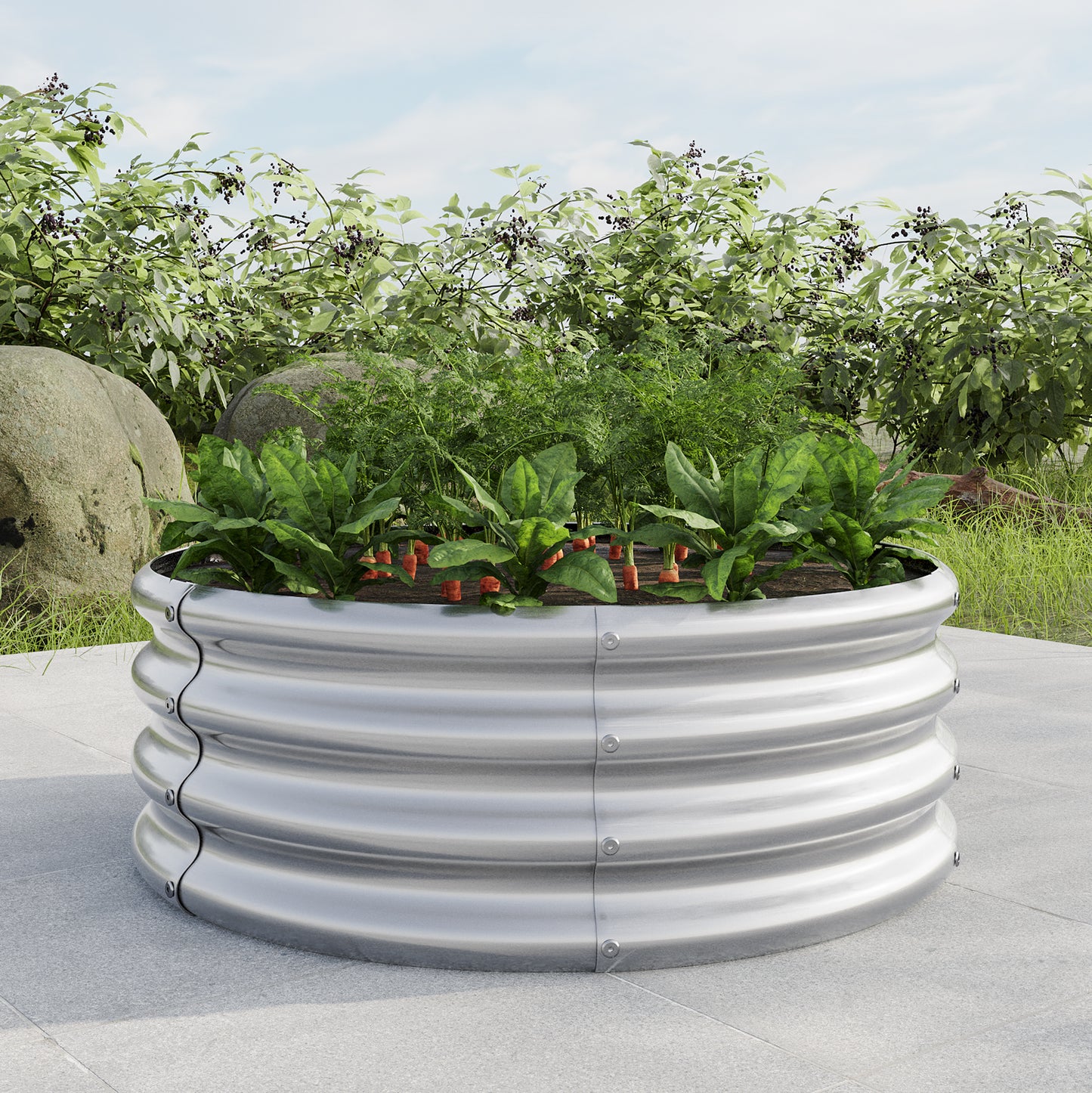 Corrugated metal raised garden bed with growing spinach and carrots in a backyard setting