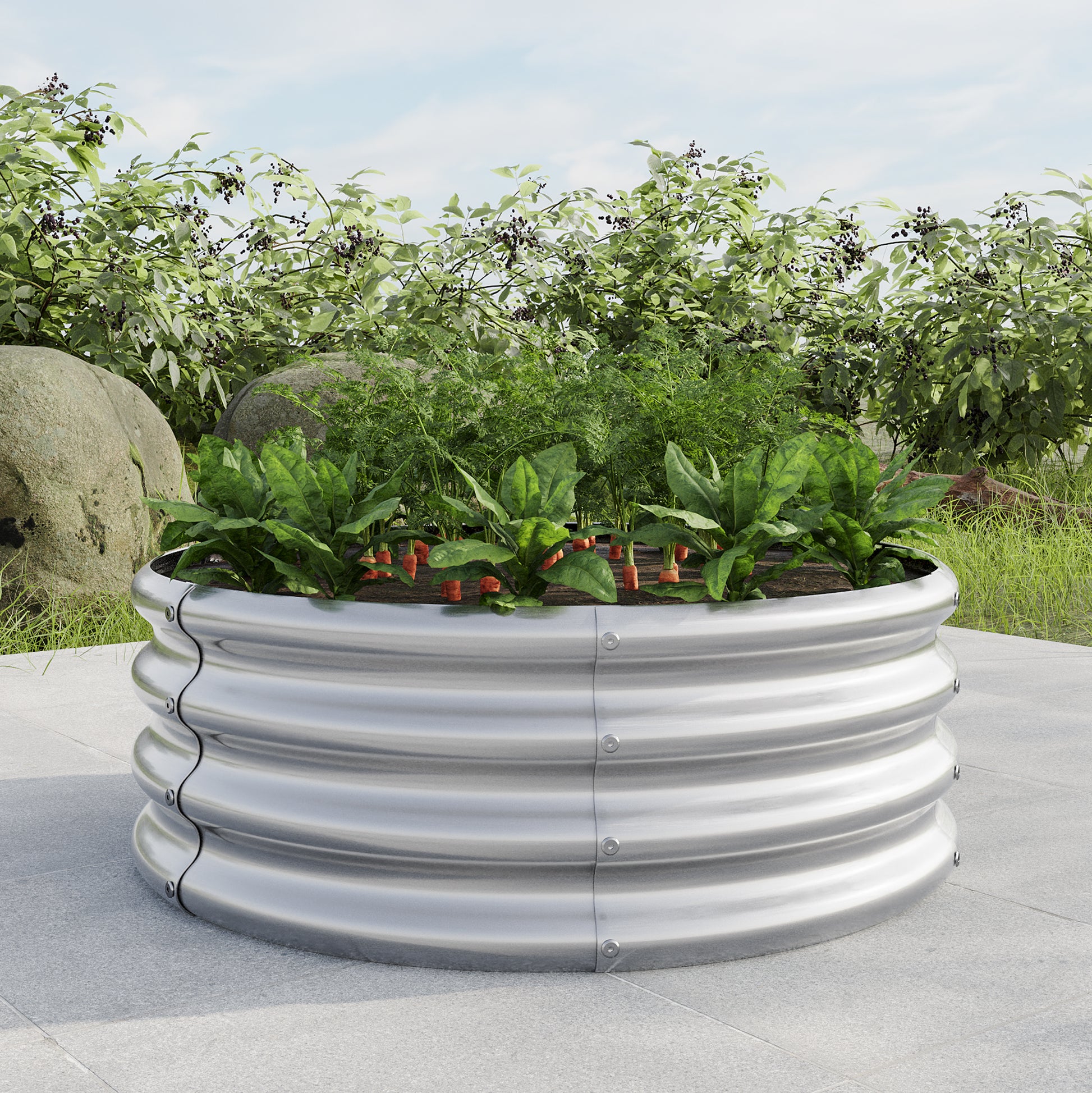 Corrugated metal raised garden bed with growing spinach and carrots in a backyard setting