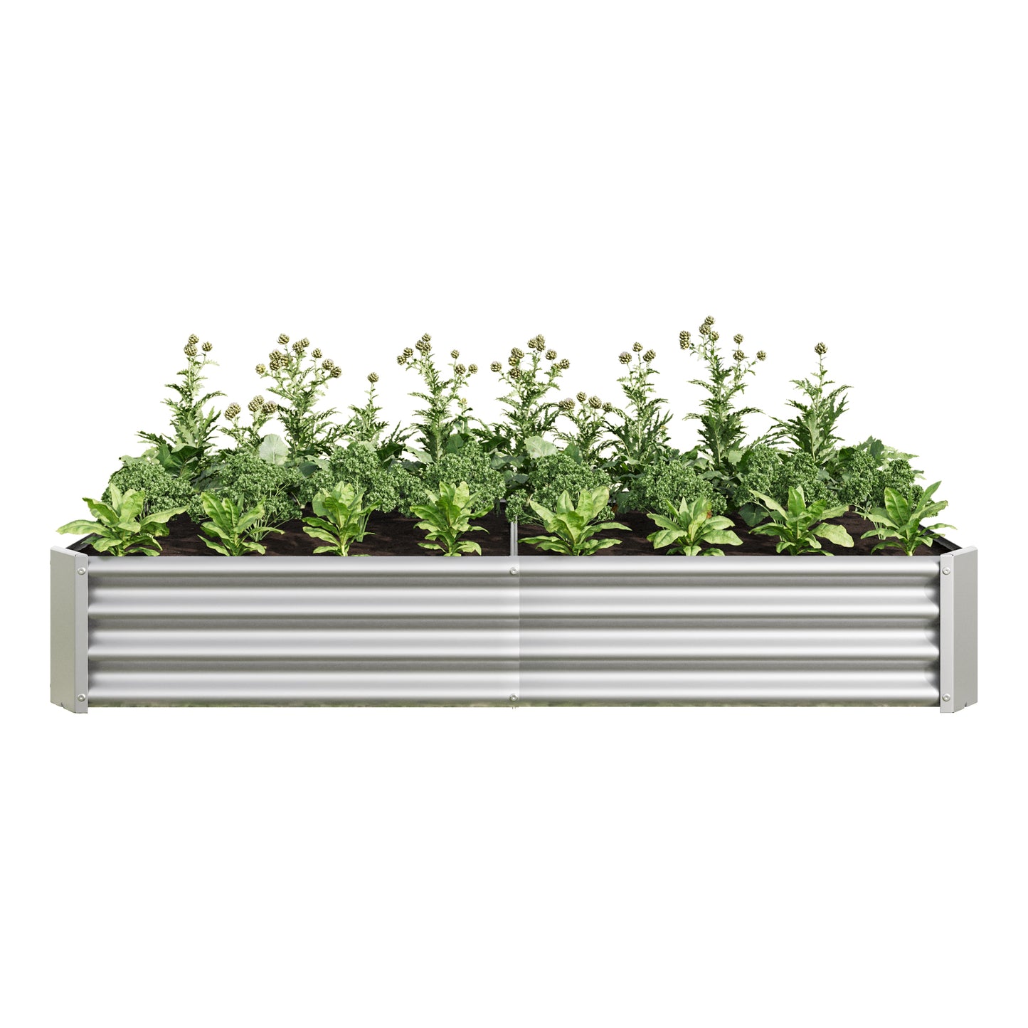 Galvanized steel raised garden bed with lush green plants and budding flowers