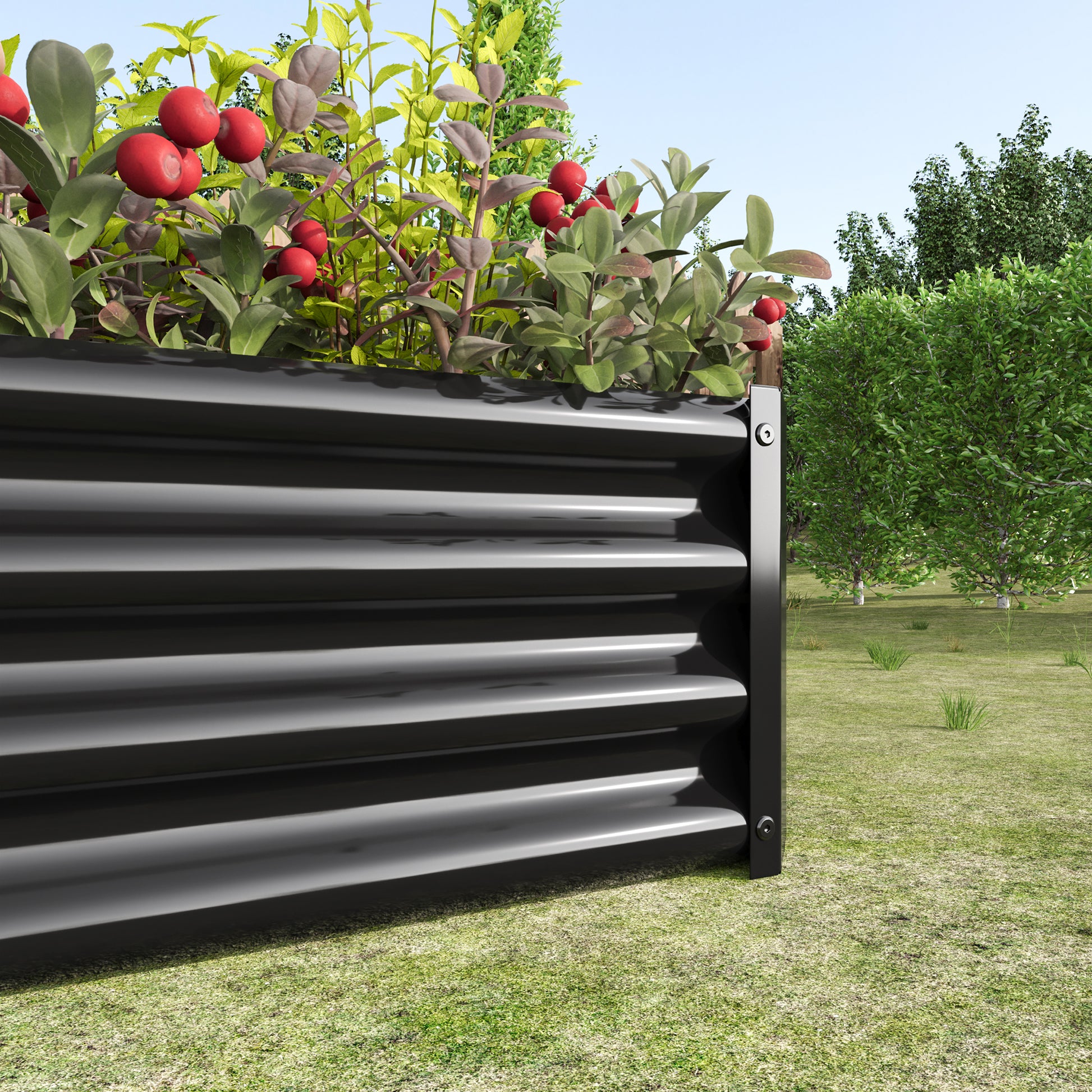 Black corrugated metal raised garden bed filled with lush green plants and red berries