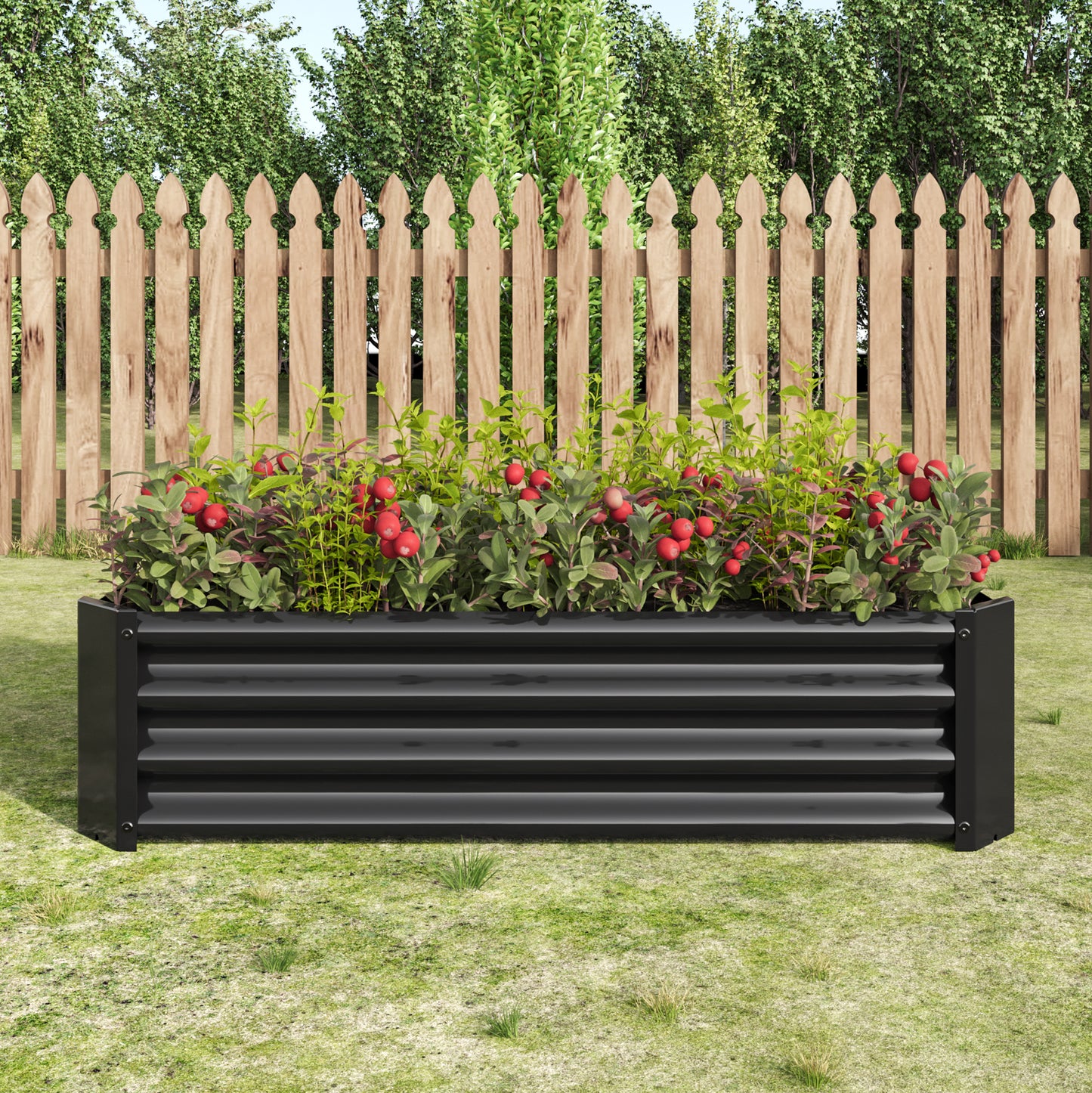 Black corrugated metal raised garden bed filled with lush plants and red berries