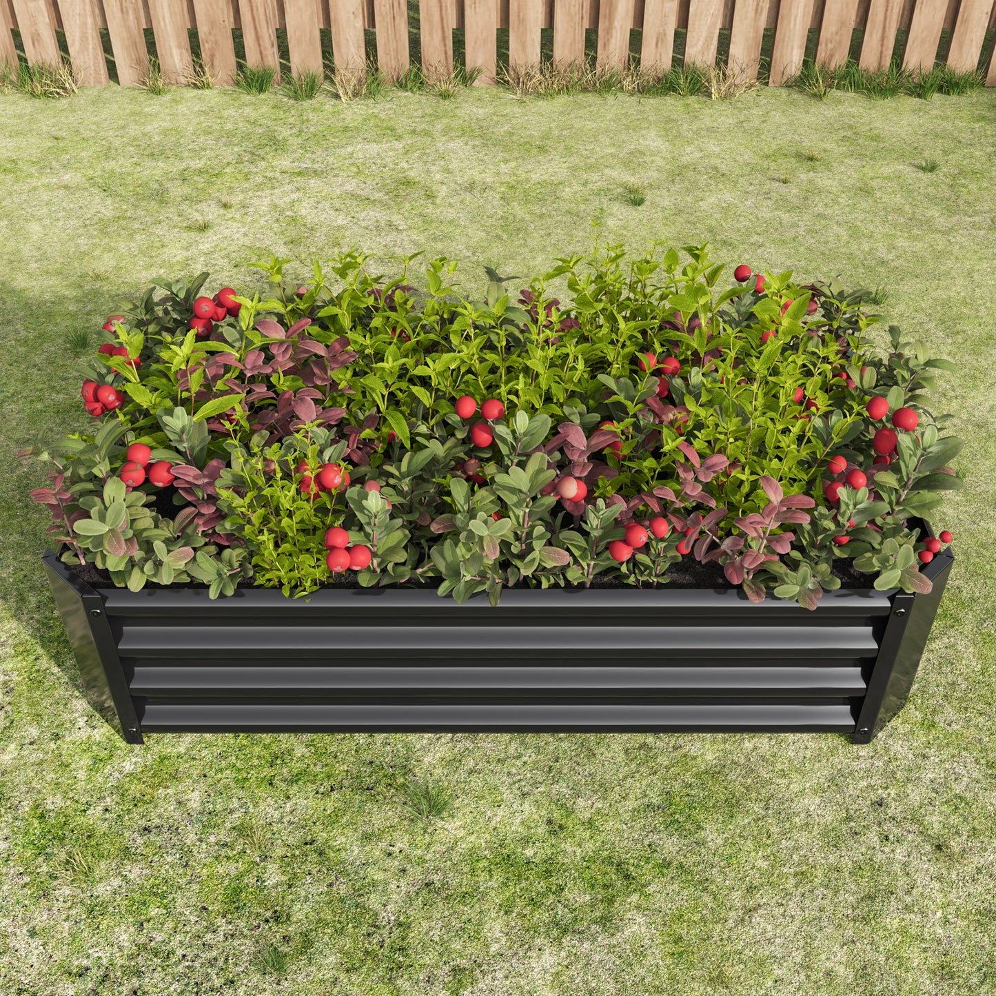 Black corrugated metal garden bed filled with lush green and red foliage and bright red berries