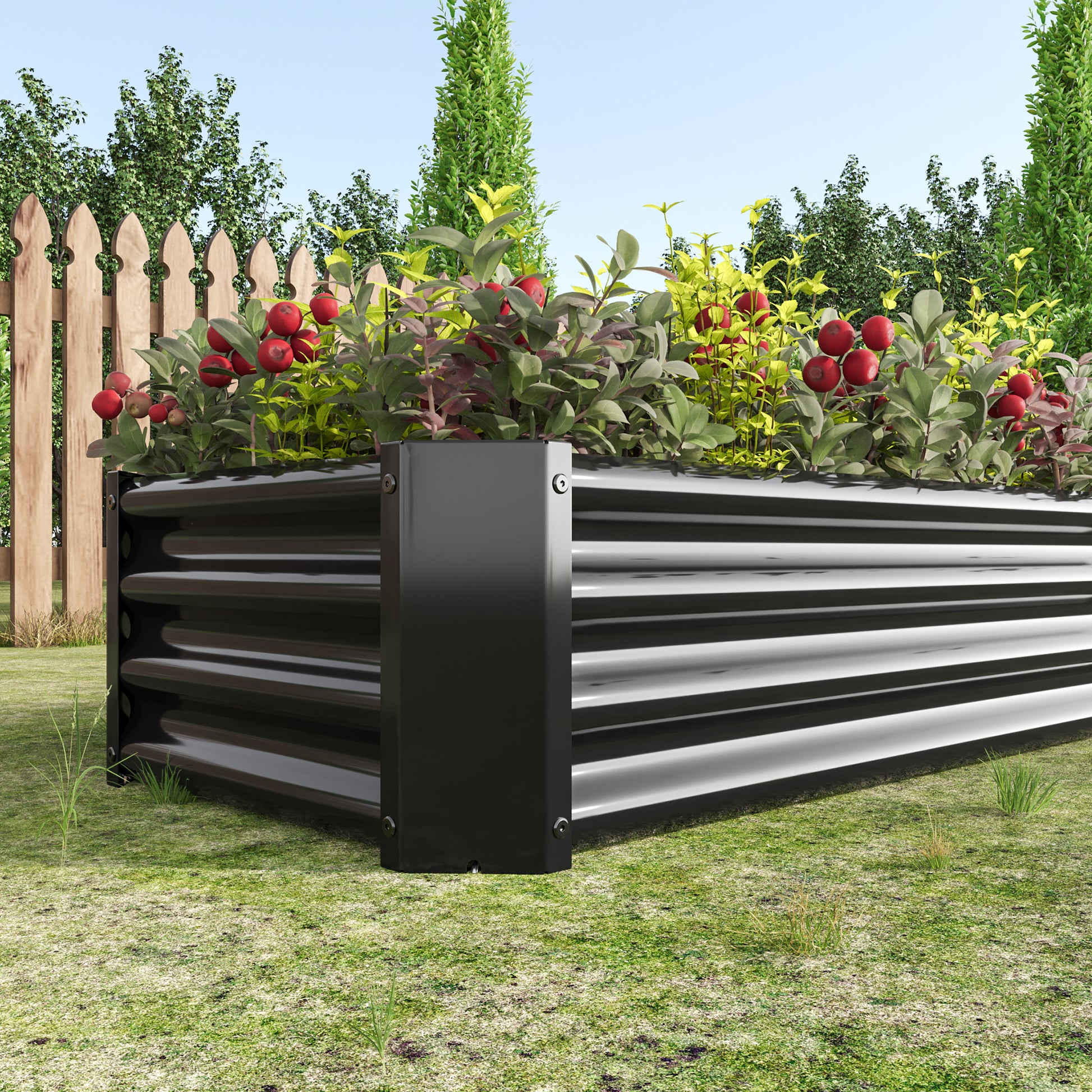 Black metal raised garden bed with plants and red berries outdoor gardening setup
