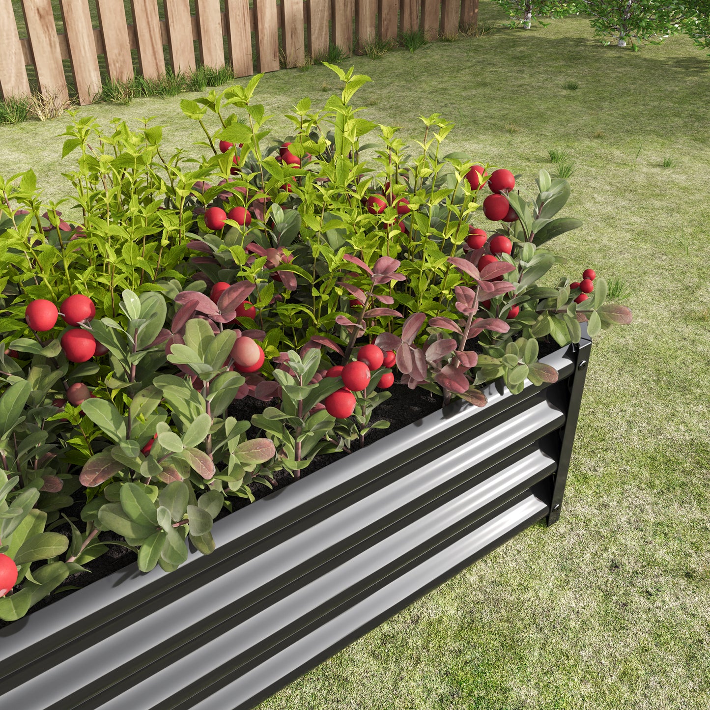 Raised garden bed made of corrugated dark metal with healthy green plants and red berries