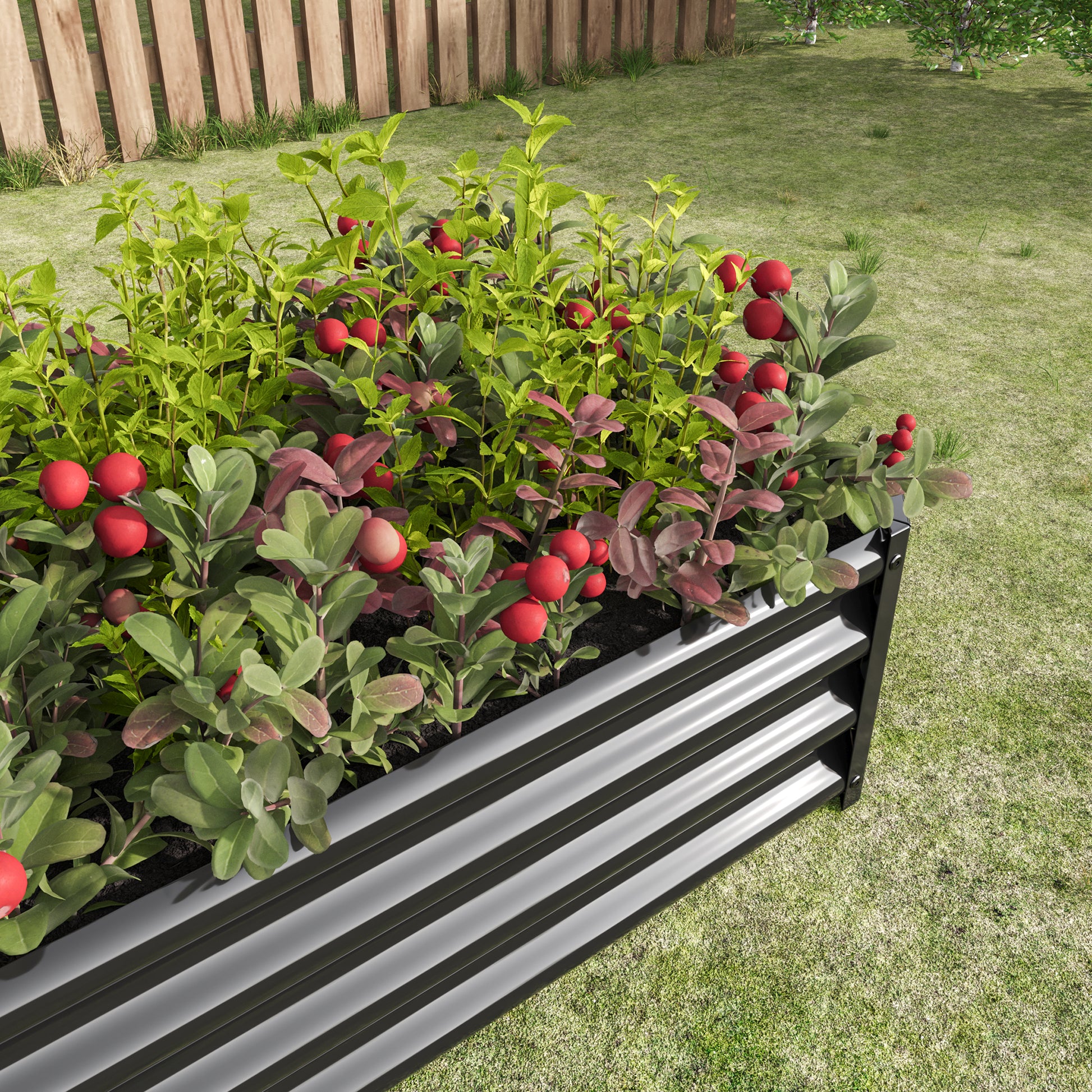 Raised garden bed made of corrugated dark metal with healthy green plants and red berries