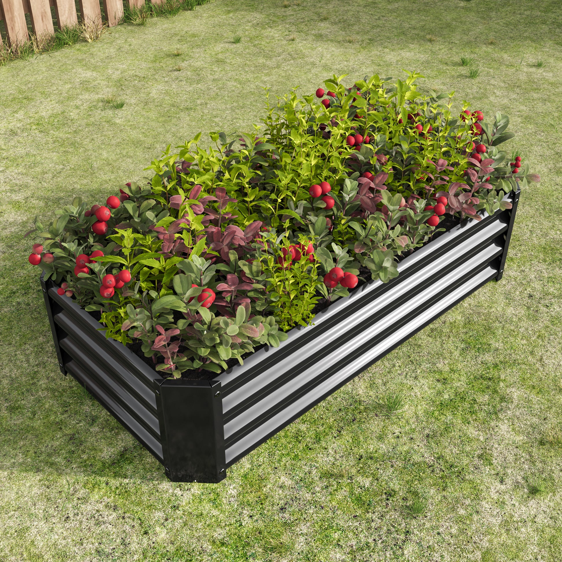 Black galvanized steel raised garden bed filled with lush green plants and red berries