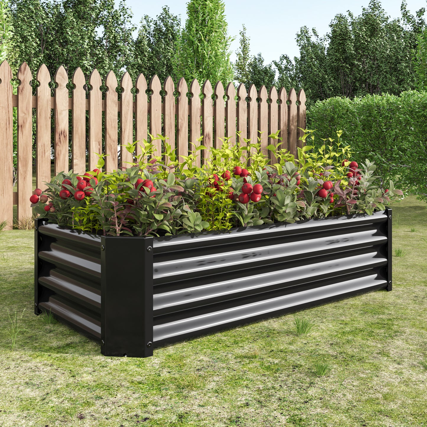Black metal raised garden bed overflowing with ripening tomatoes set in a sunny backyard